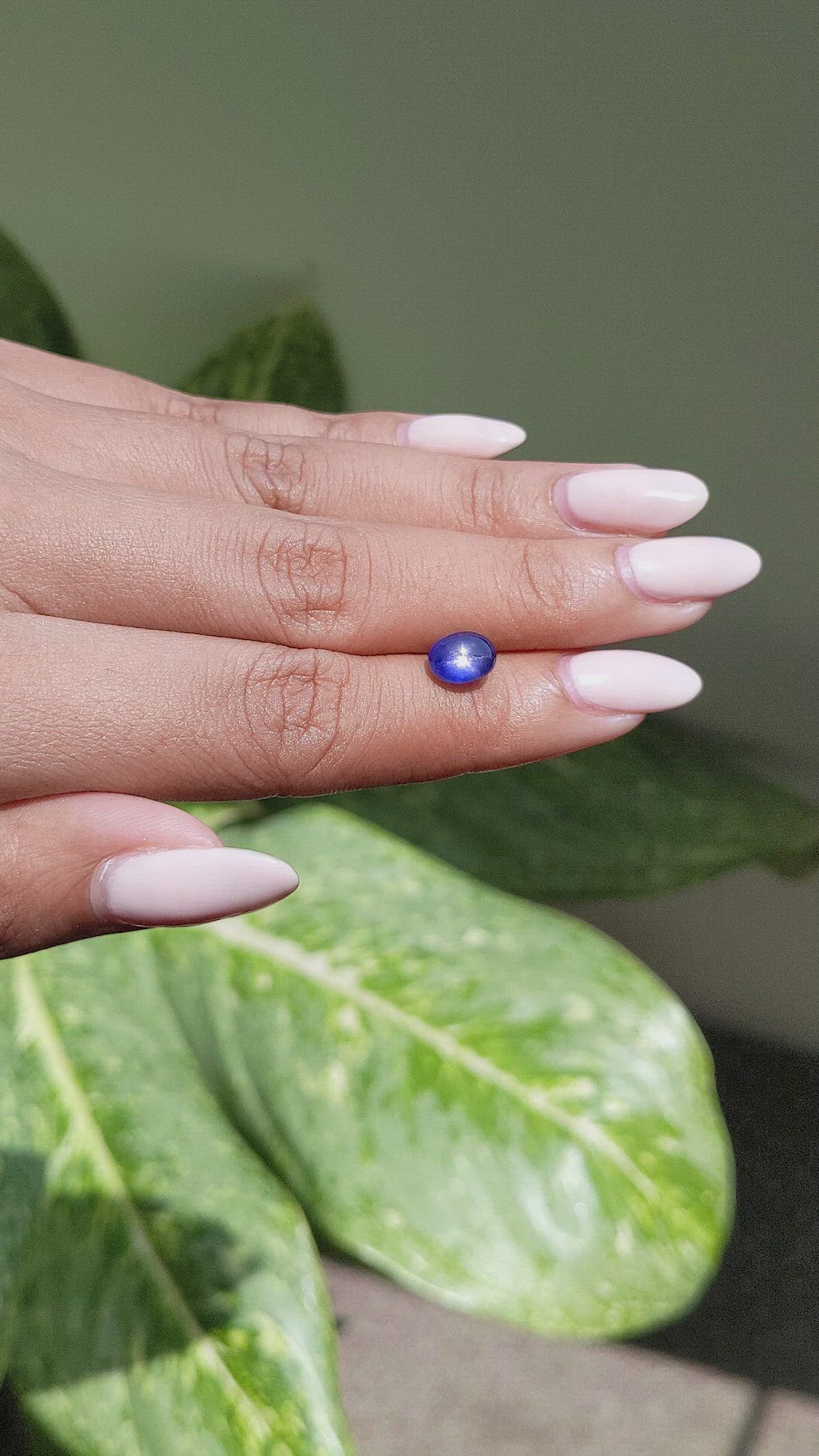 2.52 Ct. Blue Star Sapphire from Ceylon (Sri Lanka) Size Video