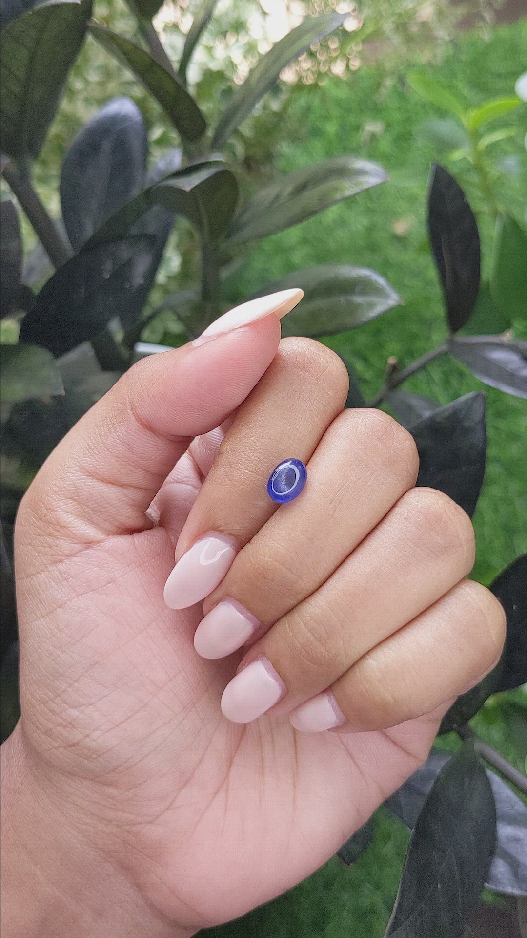 2.52 Ct. Blue Star Sapphire from Ceylon (Sri Lanka) Size Video