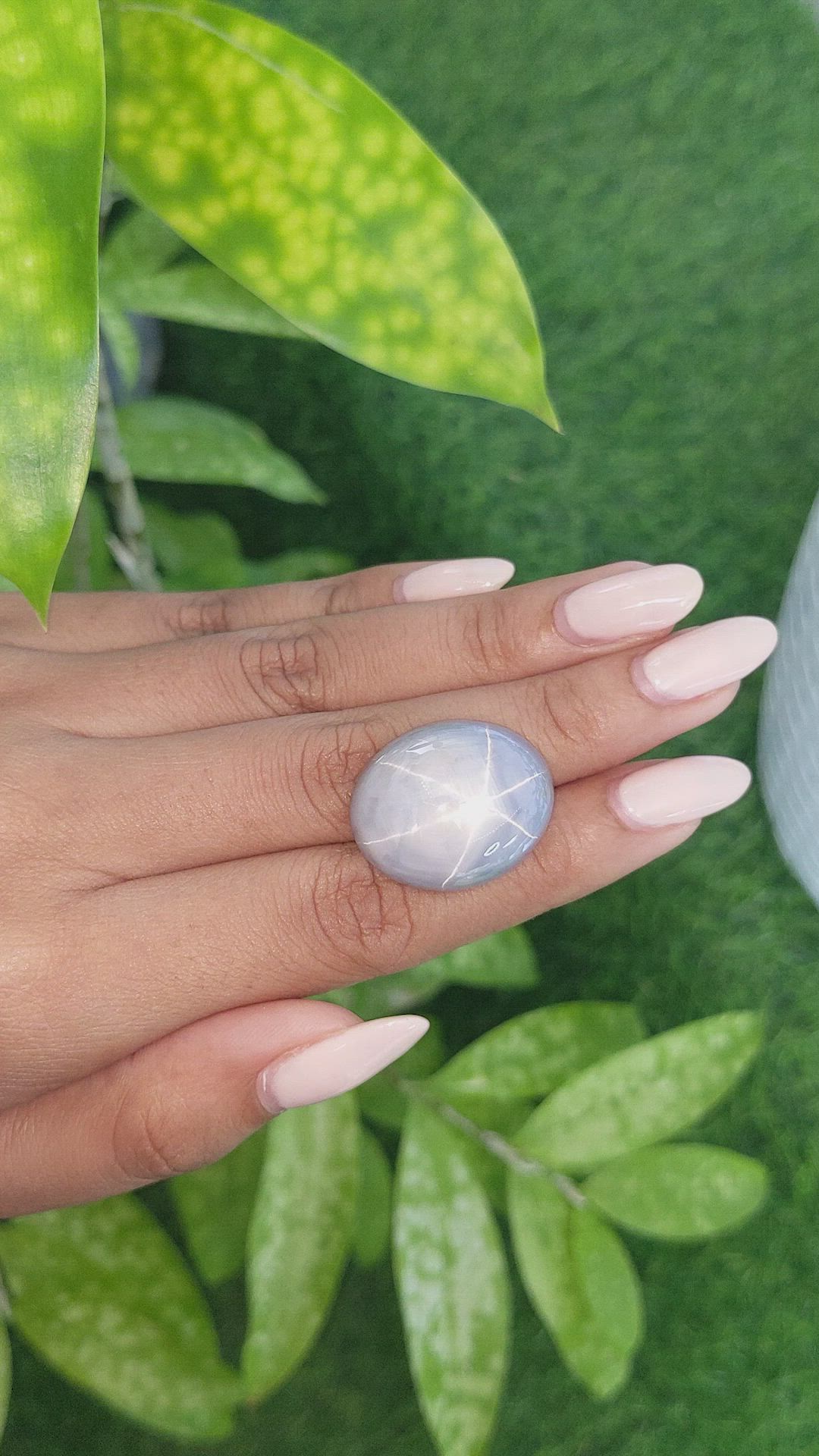 52.65 Ct. Grey Star Sapphire from Ceylon (Sri Lanka) Size Video