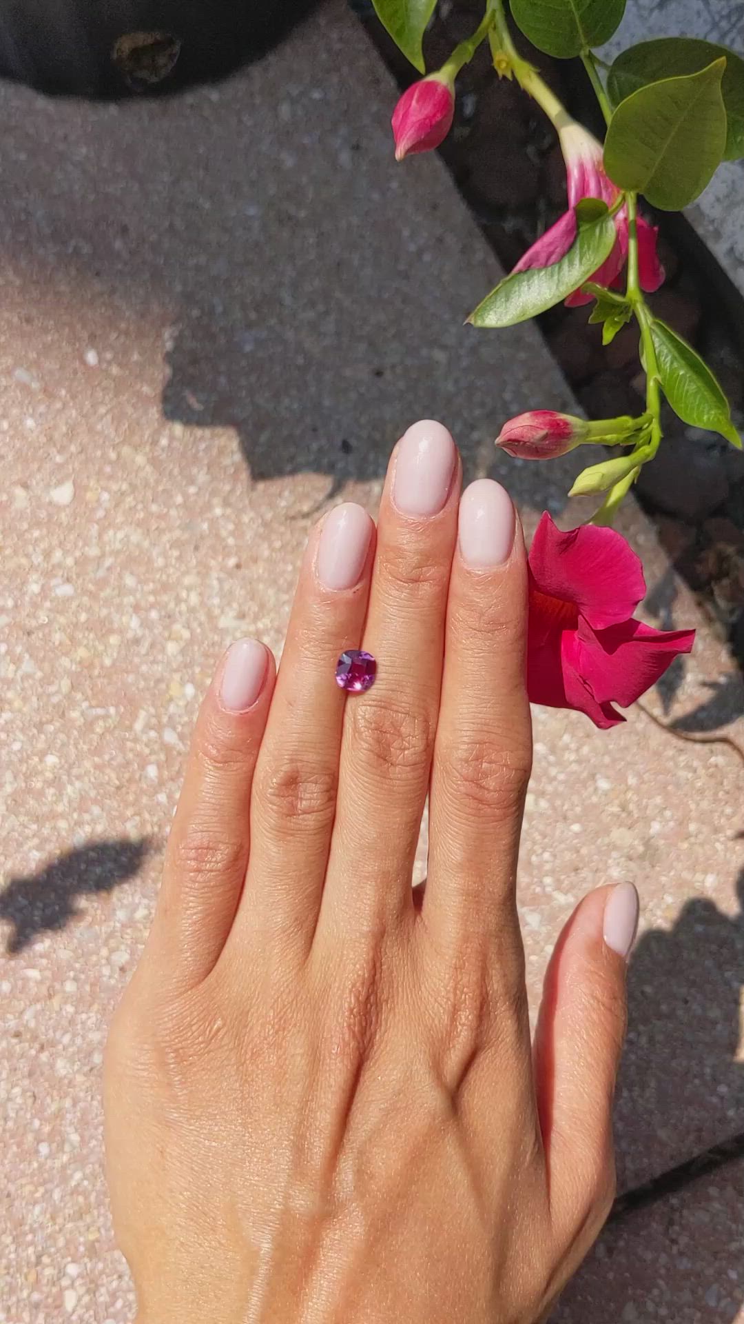 2.07 Ct. Pink Sapphire from Ceylon (Sri Lanka) Size Video