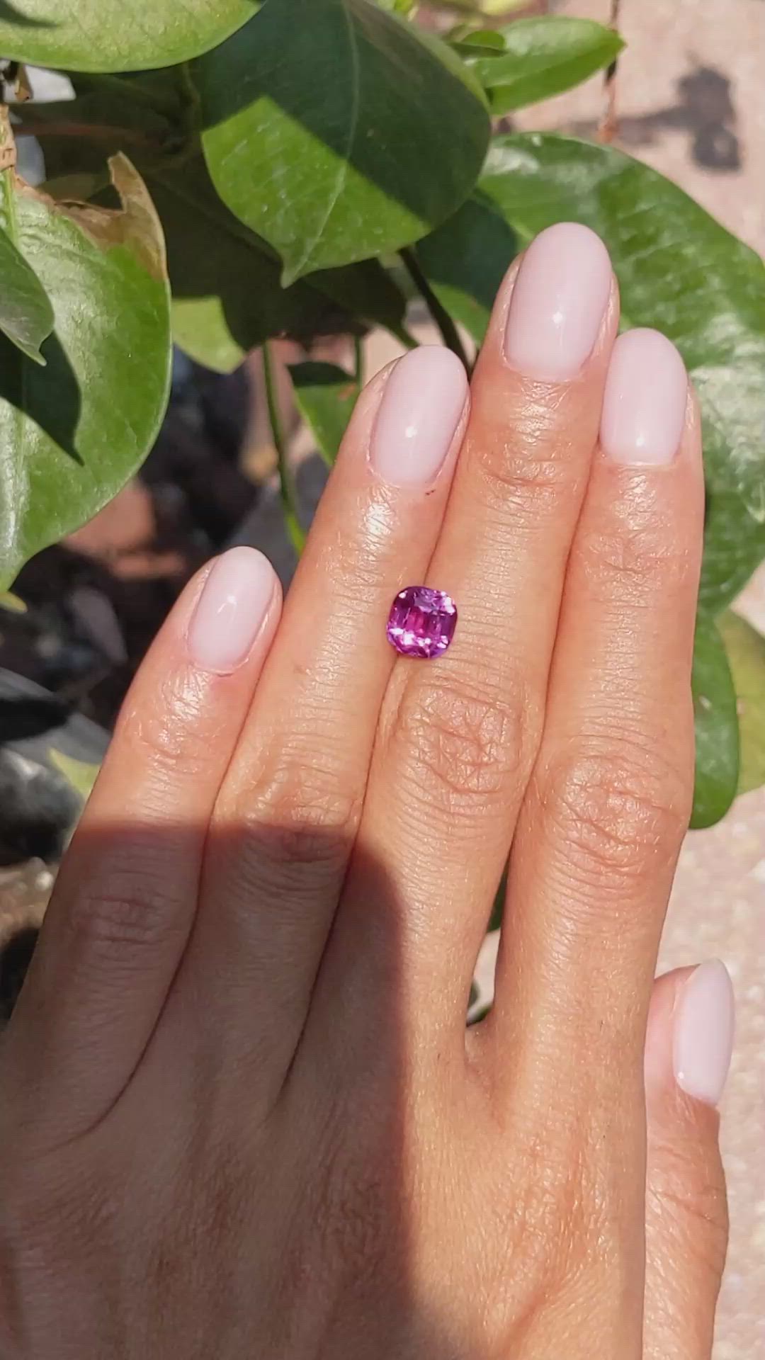 2.07 Ct. Pink Sapphire from Ceylon (Sri Lanka) Size Video