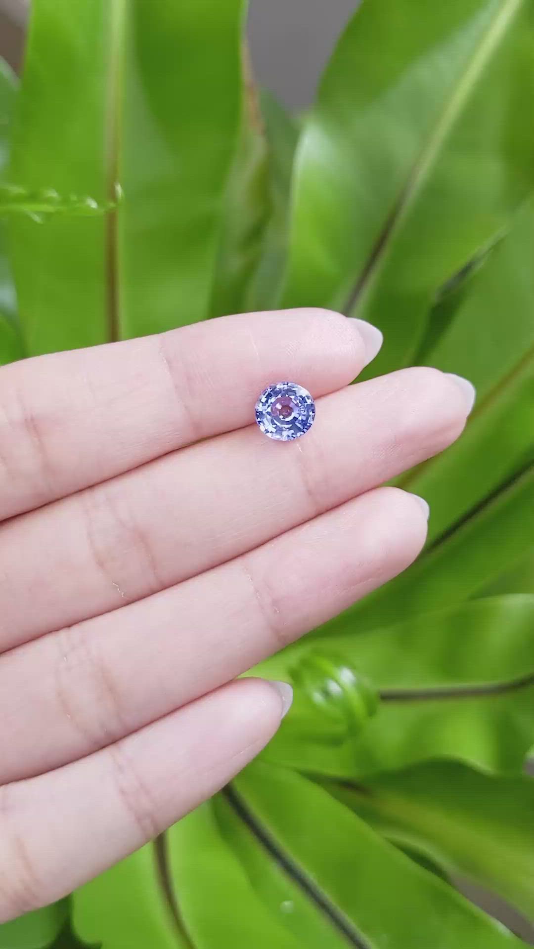 1.87 Ct. Purplish Blue Sapphire from Ceylon (Sri Lanka) Size Video