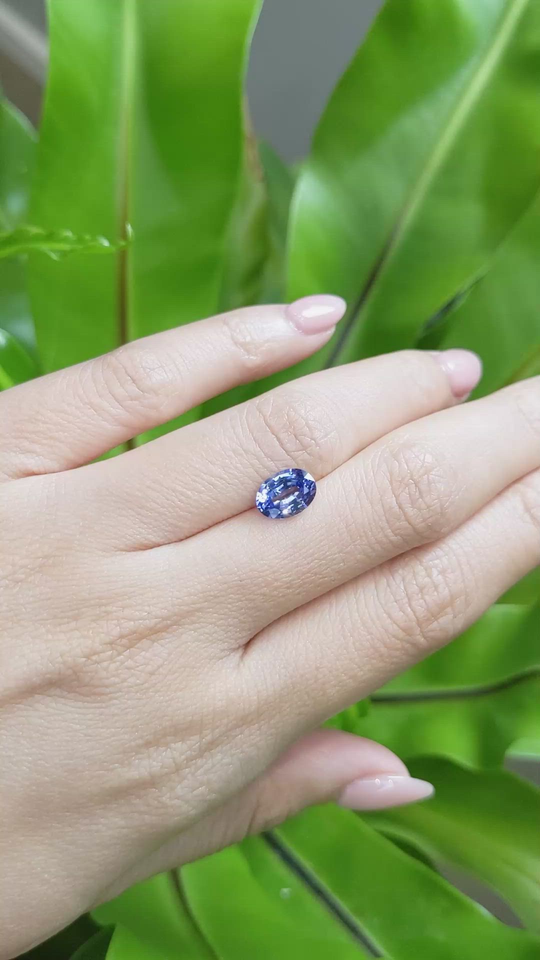 1.74 Ct. Blue Sapphire from Ceylon (Sri Lanka) Size Video