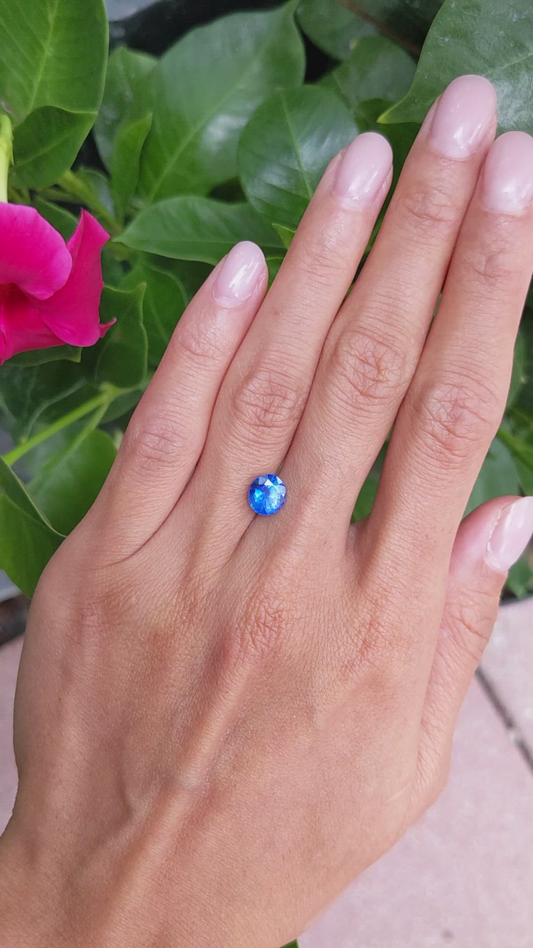 1.93 Ct. Blue Sapphire from Ceylon (Sri Lanka) Size Video