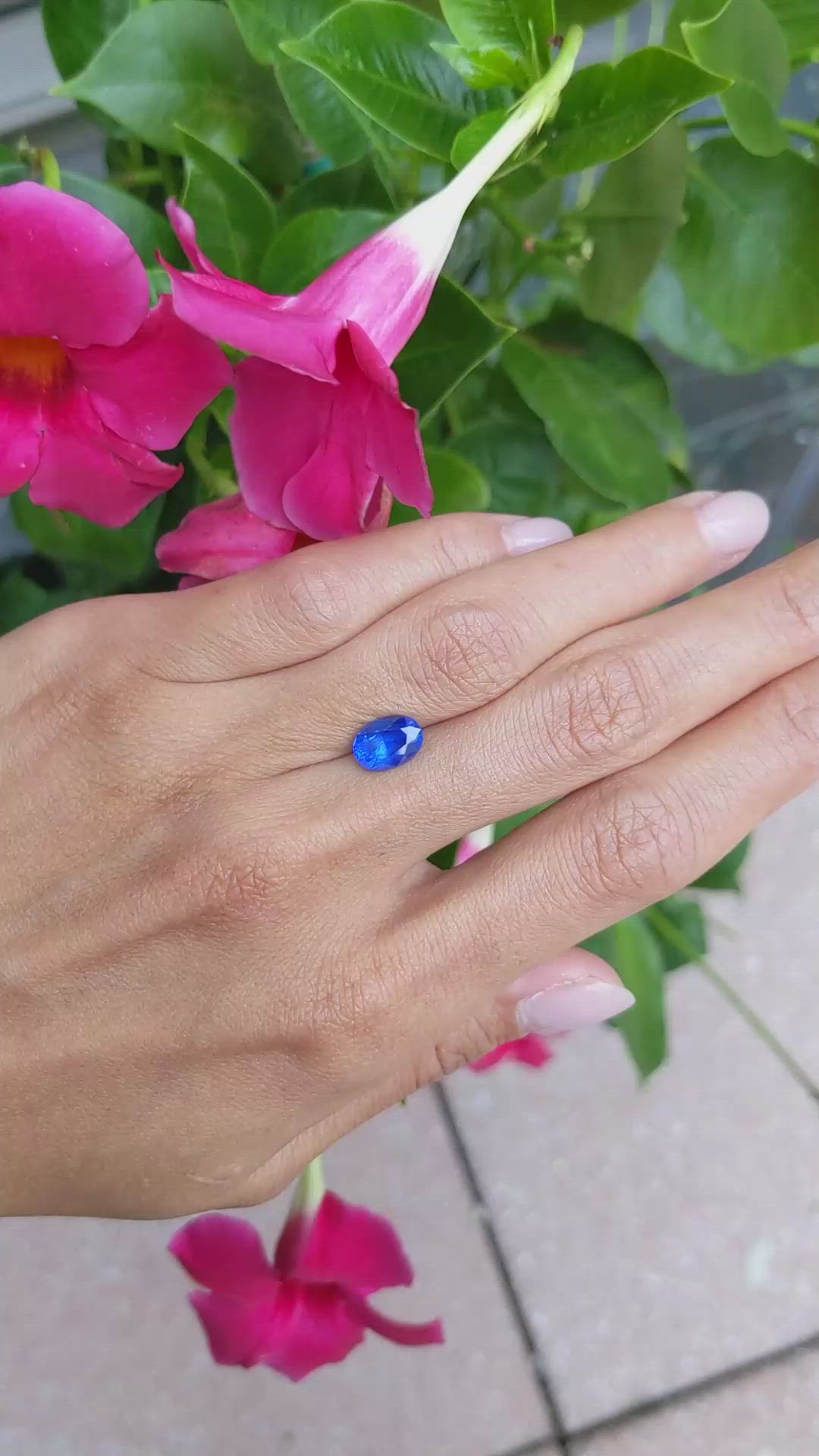 2.49 Ct. Blue Sapphire from Burma (Myanmar) Size Video