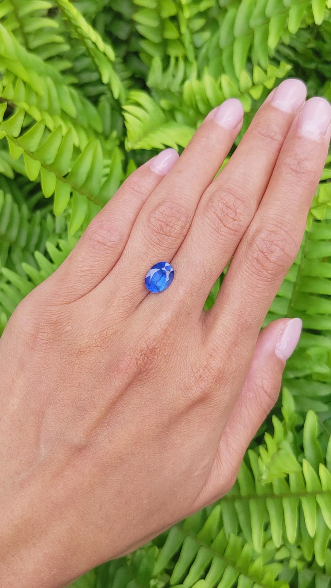 3.17 Ct. Blue Sapphire from Burma (Myanmar) Size Video