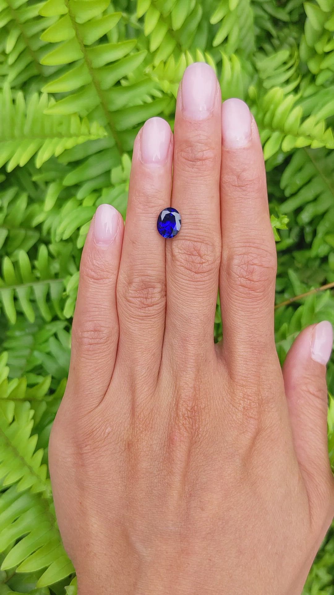 2.30 Ct. Blue Sapphire from Ceylon (Sri Lanka) Size Video
