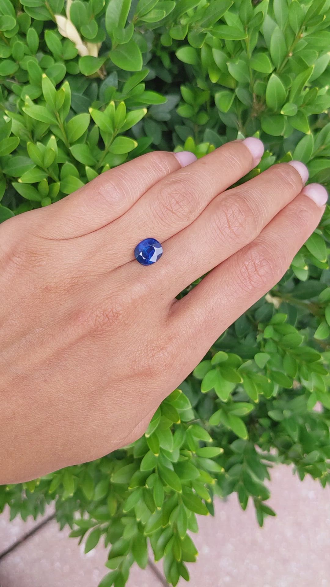 2.48 Ct. Blue Sapphire from Ceylon (Sri Lanka) Size Video