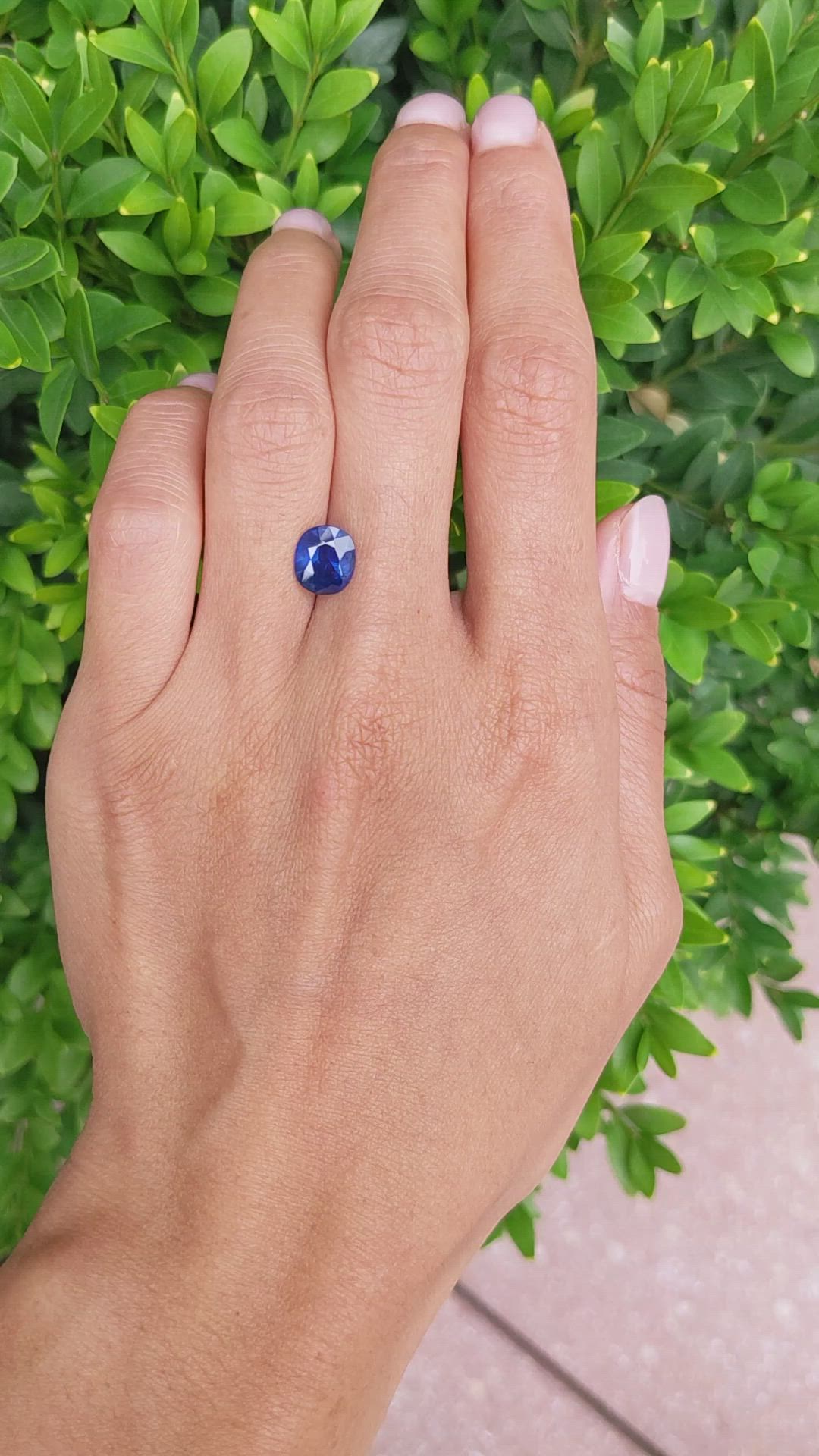 2.48 Ct. Blue Sapphire from Ceylon (Sri Lanka) Size Video