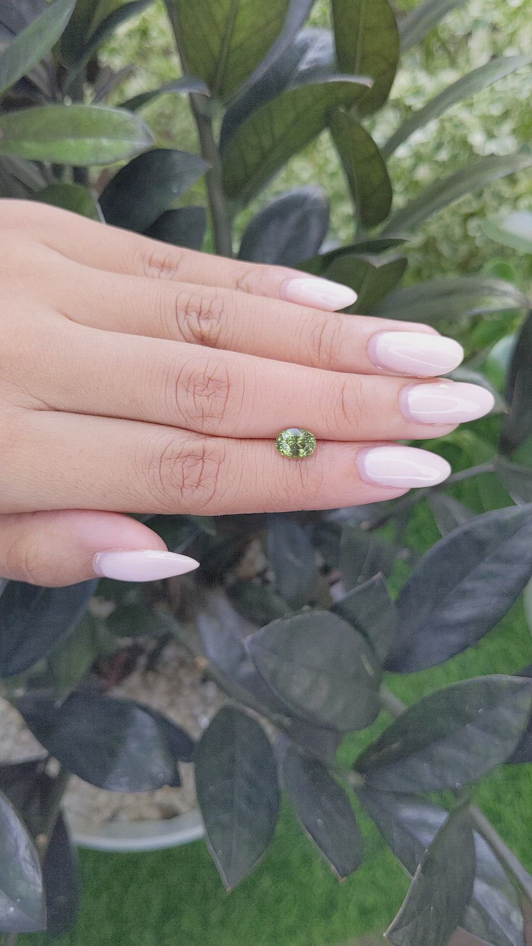 1.62 Ct. Yellowish Green Sapphire from Madagascar Size Video
