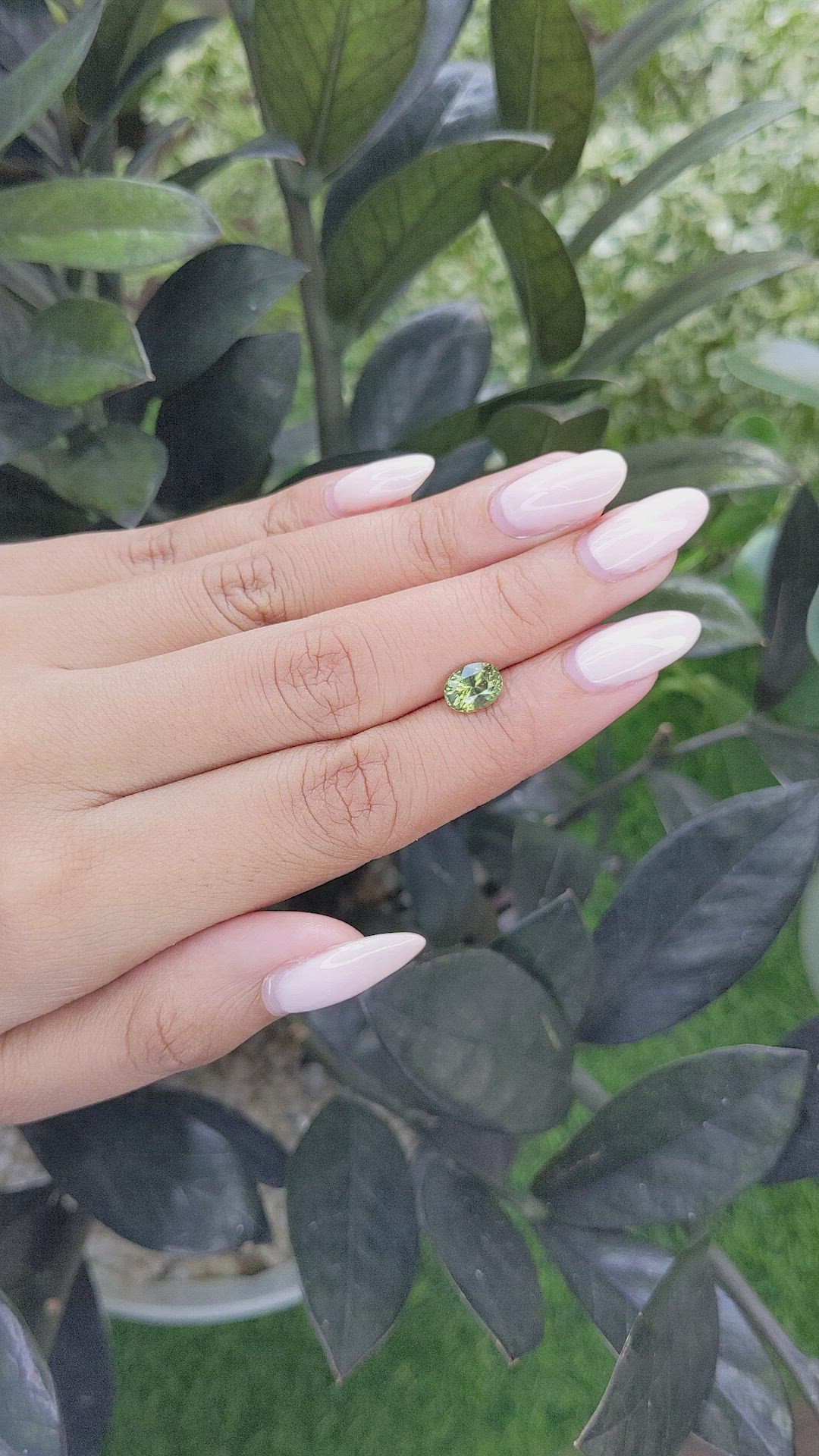 1.62 Ct. Yellowish Green Sapphire from Madagascar Size Video