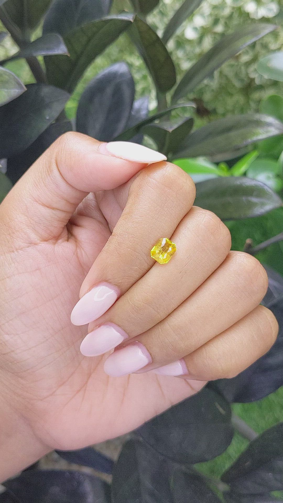 1.54 Ct. Yellow Sapphire from Madagascar Size Video