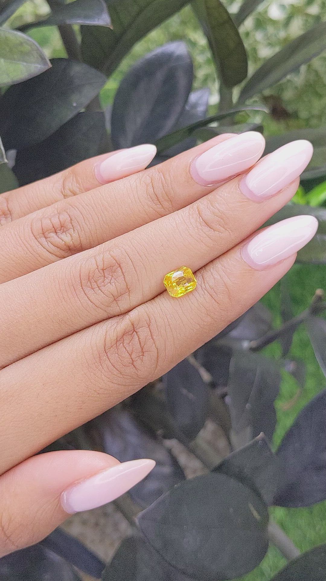 1.54 Ct. Yellow Sapphire from Madagascar Size Video