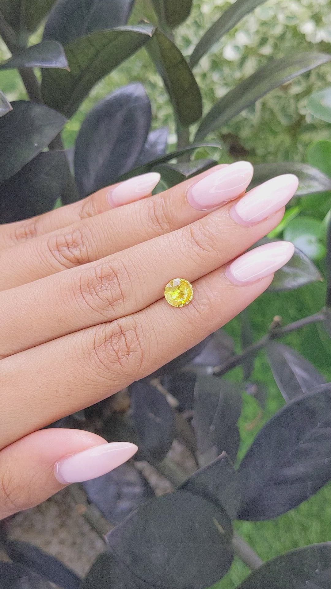 1.61 Ct. Yellow Sapphire from Madagascar Size Video