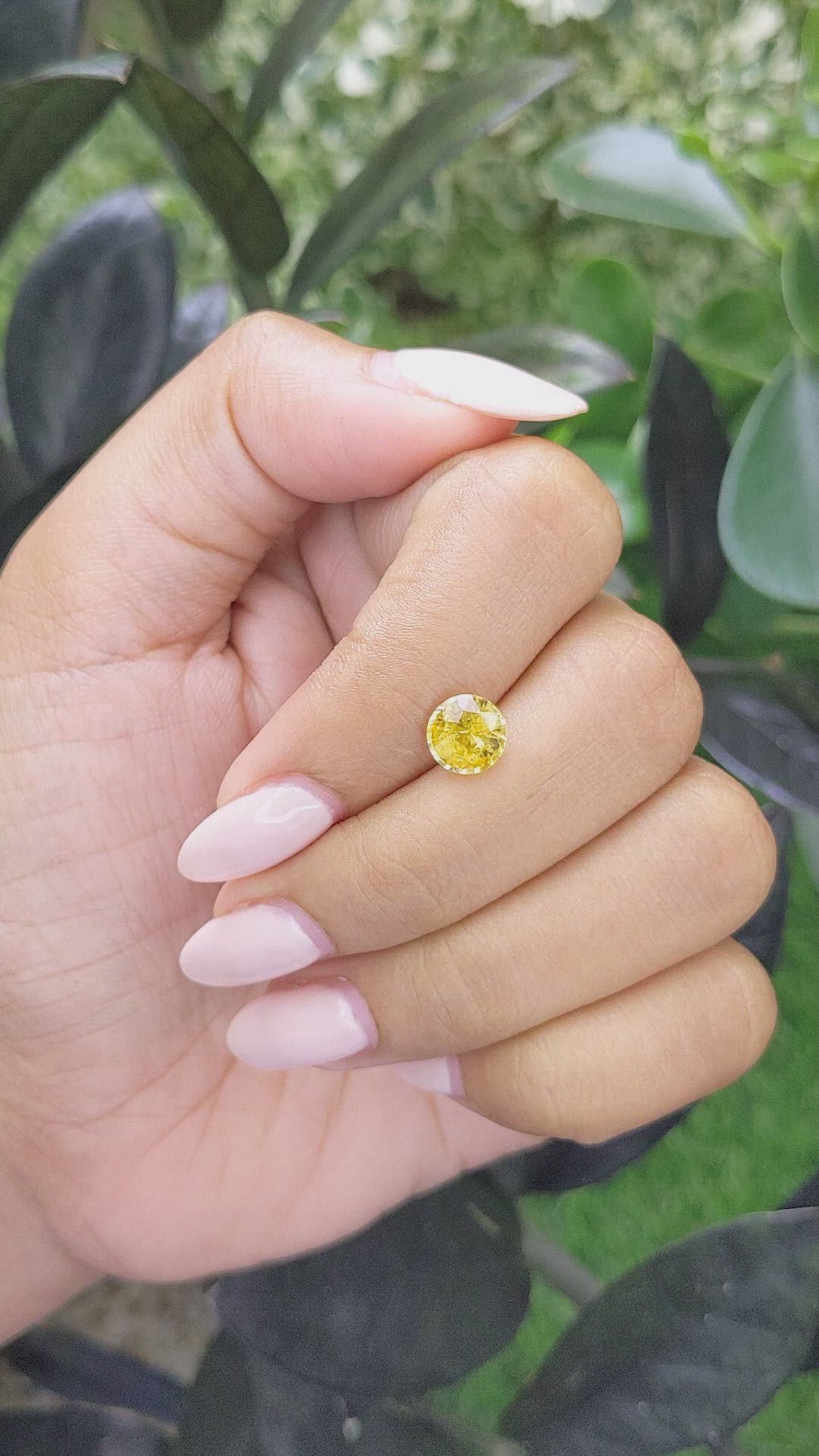 1.61 Ct. Yellow Sapphire from Madagascar Size Video