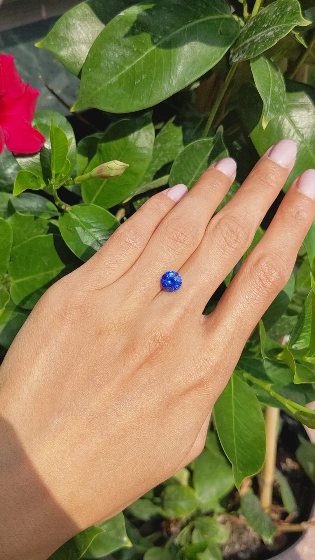 2.58 Ct. Blue Sapphire from Ceylon (Sri Lanka) Size Video