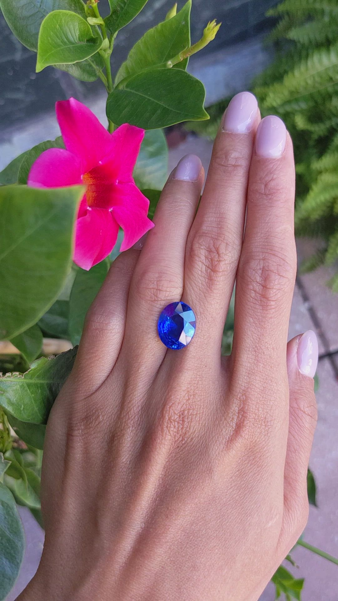 8.18 Ct. Blue Sapphire from Ceylon (Sri Lanka) Size Video