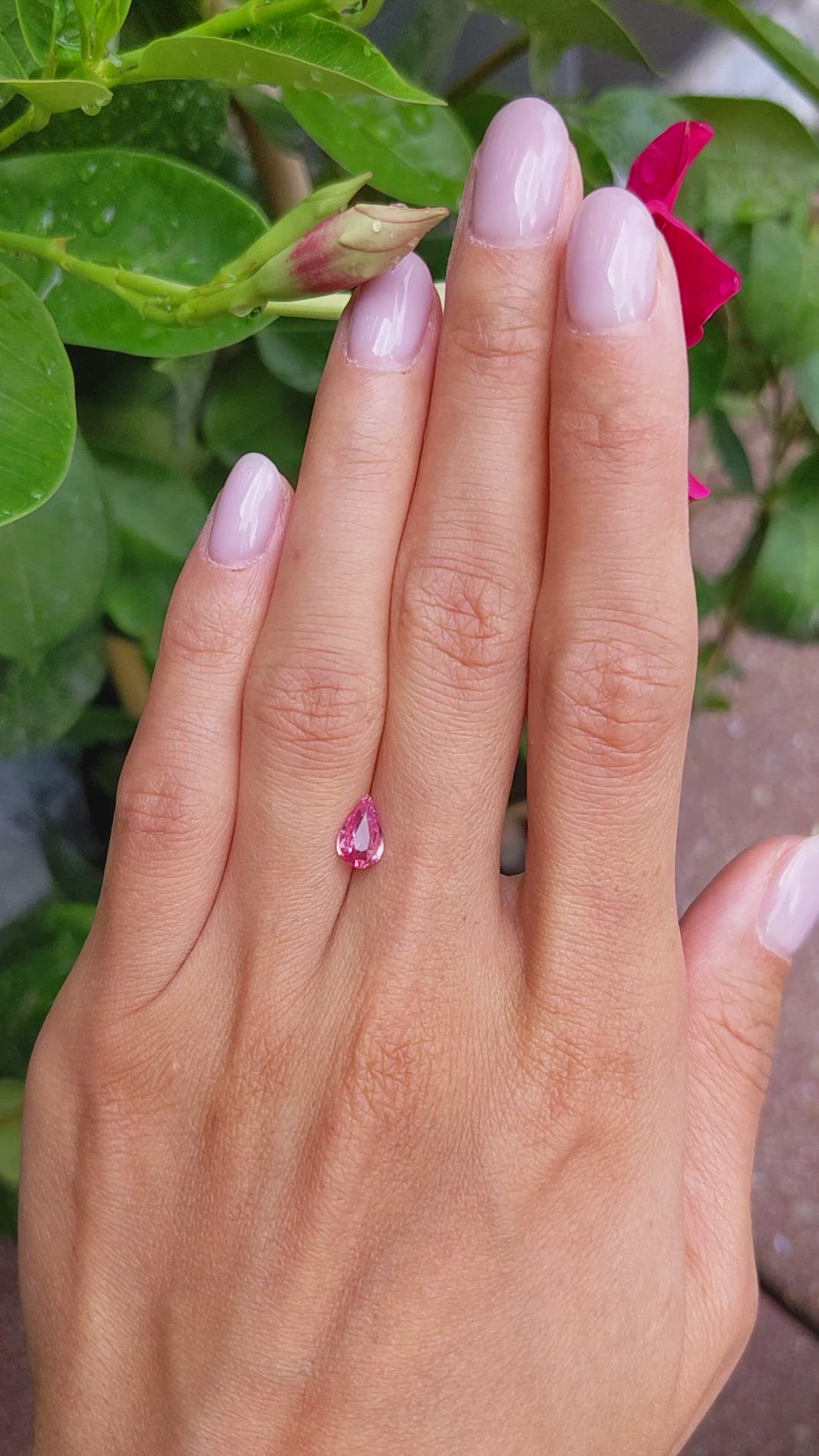 1.01 Ct. Padparadscha Sapphire from Ceylon (Sri Lanka) Size Video