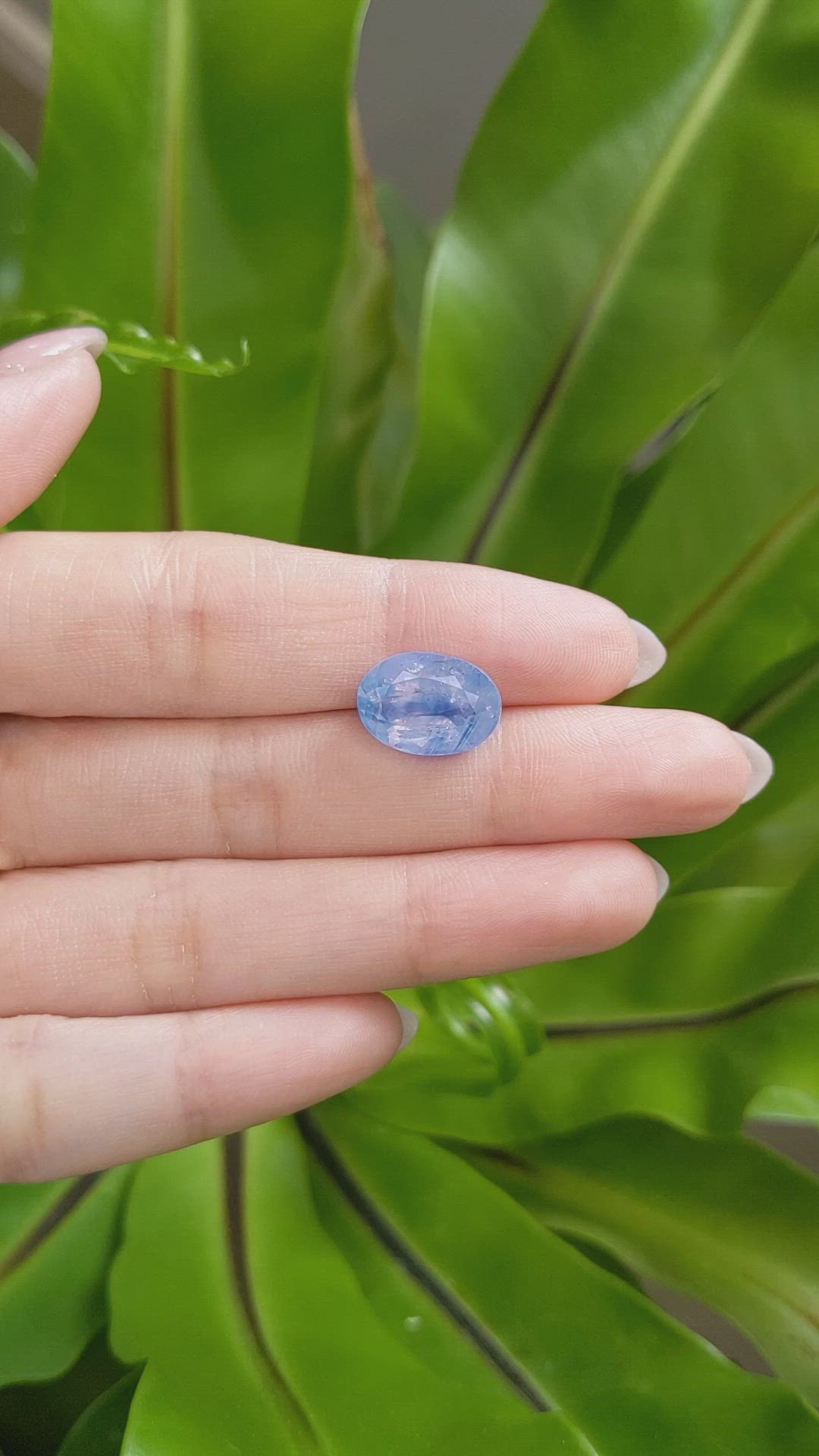 8.49 Ct. Blue Sapphire from Kashmir Size Video