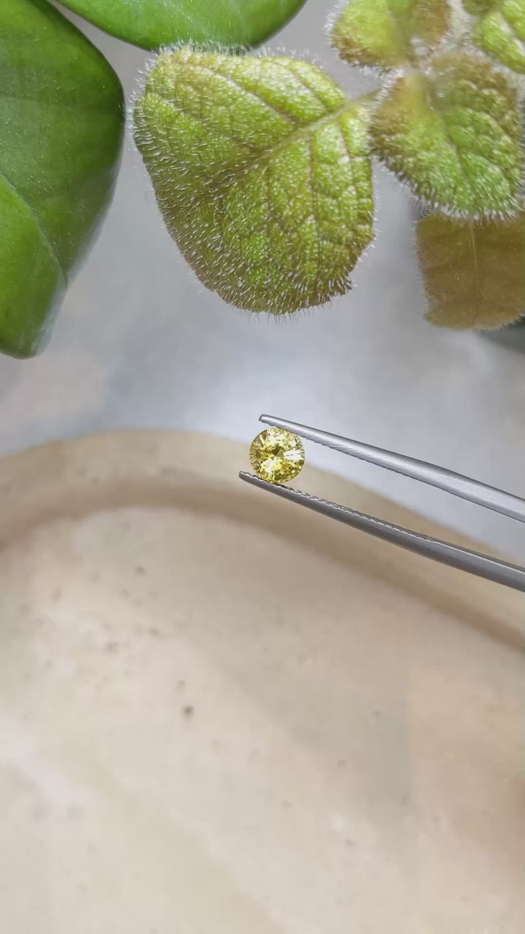0.98 Ct. Yellow Sapphire from Ceylon (Sri Lanka) Size Video