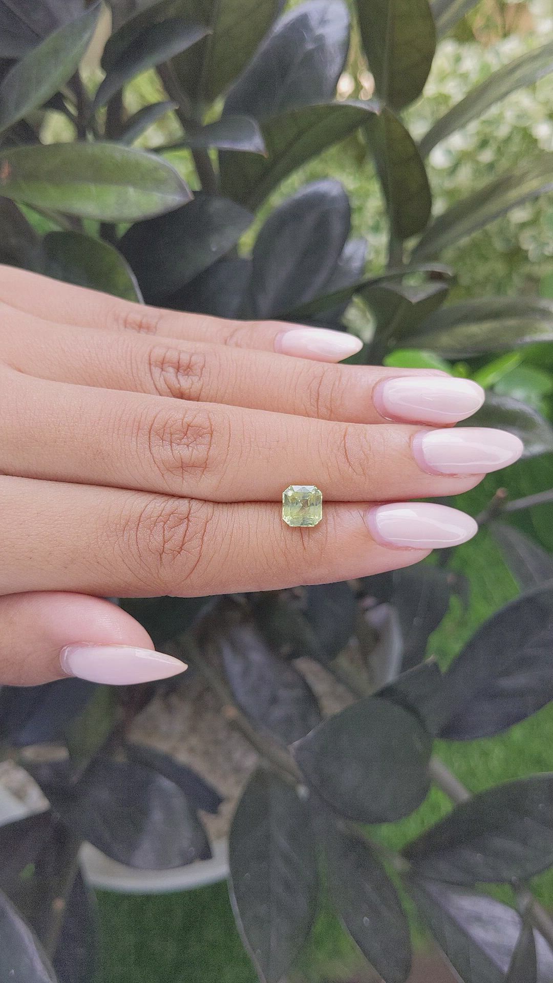 1.70 Ct. Yellowish Green Sapphire from Madagascar Size Video