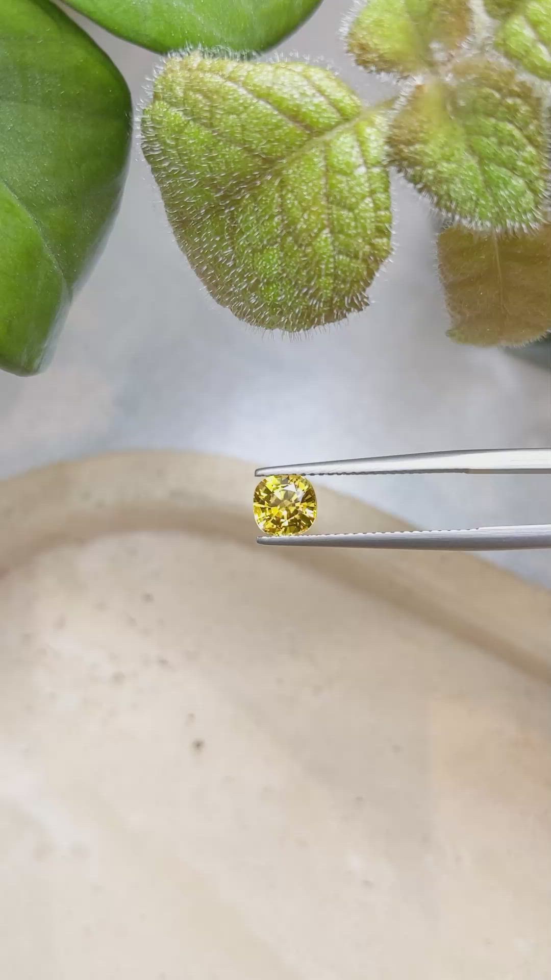 1.31 Ct. Yellow Sapphire from Ceylon (Sri Lanka) Size Video