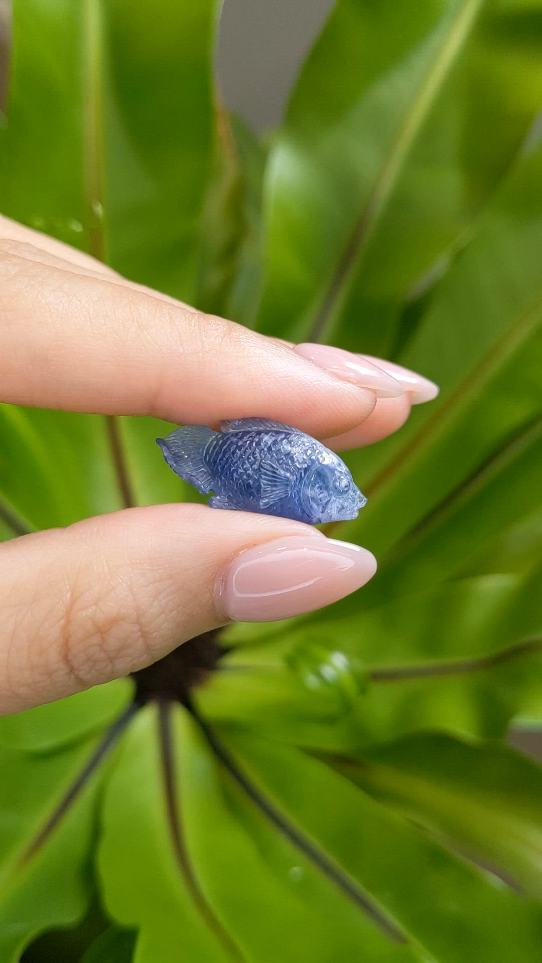 12.61 Ct. Blue Sapphire from Kashmir Size Video