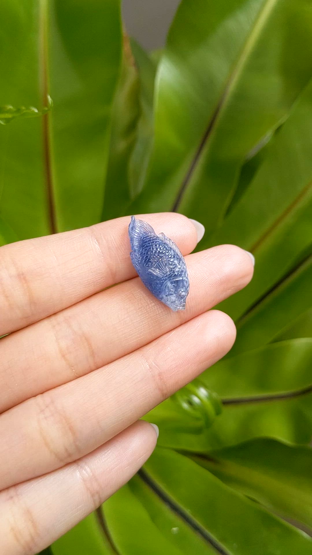 12.61 Ct. Blue Sapphire from Kashmir Size Video