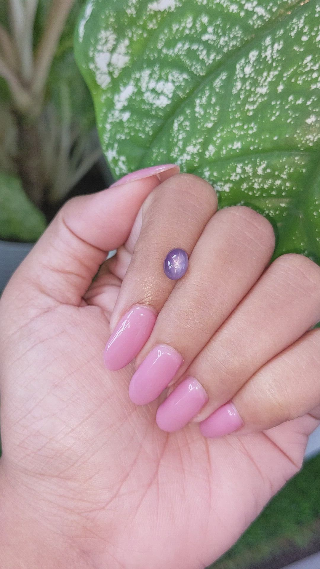 2.20 Ct. Purple Star Sapphire from Ceylon (Sri Lanka) Size Video
