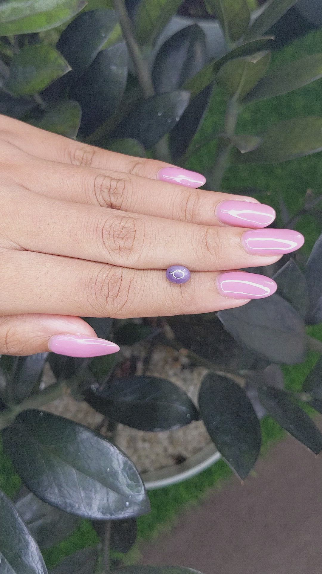 2.20 Ct. Purple Star Sapphire from Ceylon (Sri Lanka) Size Video