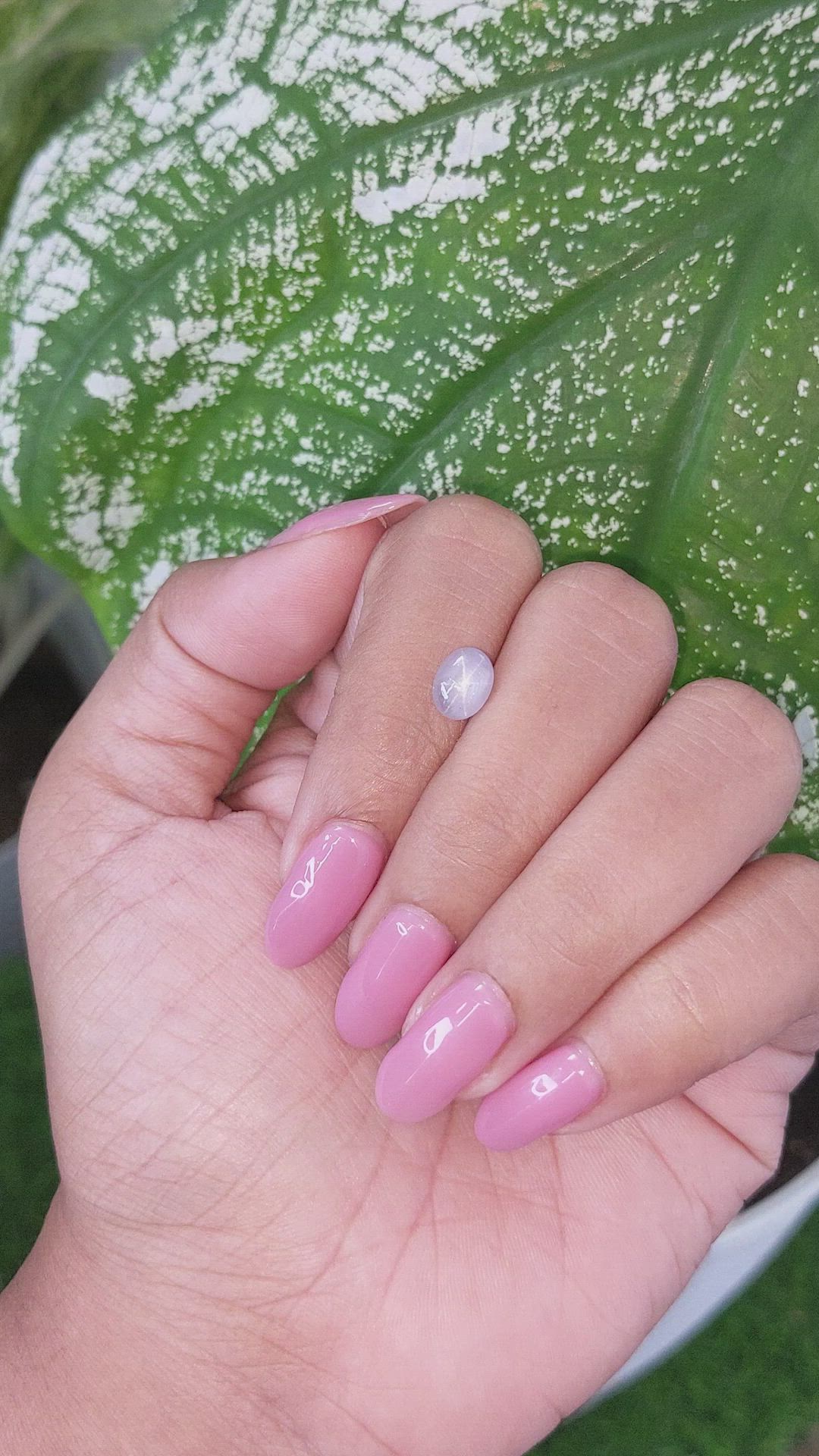 1.64 Ct. White Star Sapphire from Ceylon (Sri Lanka) Size Video