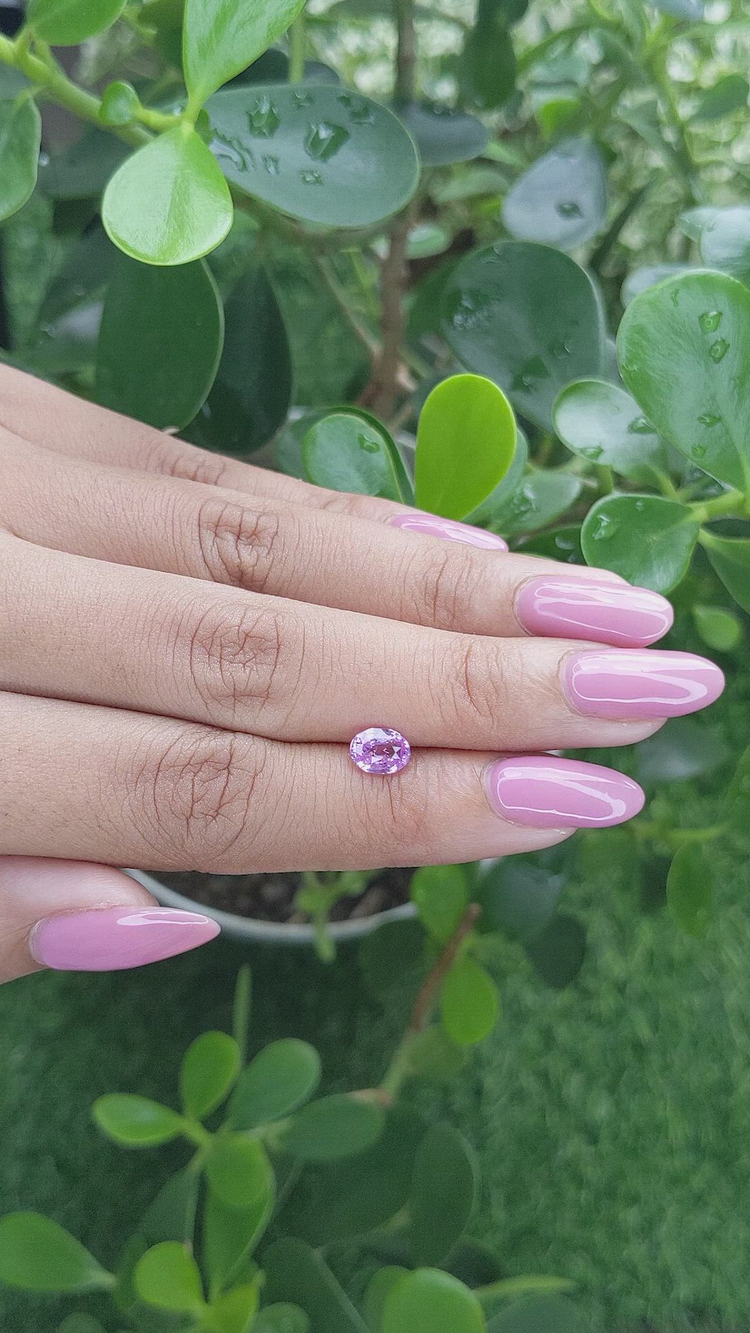 1.07 Ct. Pinkish Purple Sapphire from Ceylon (Sri Lanka) Size Video
