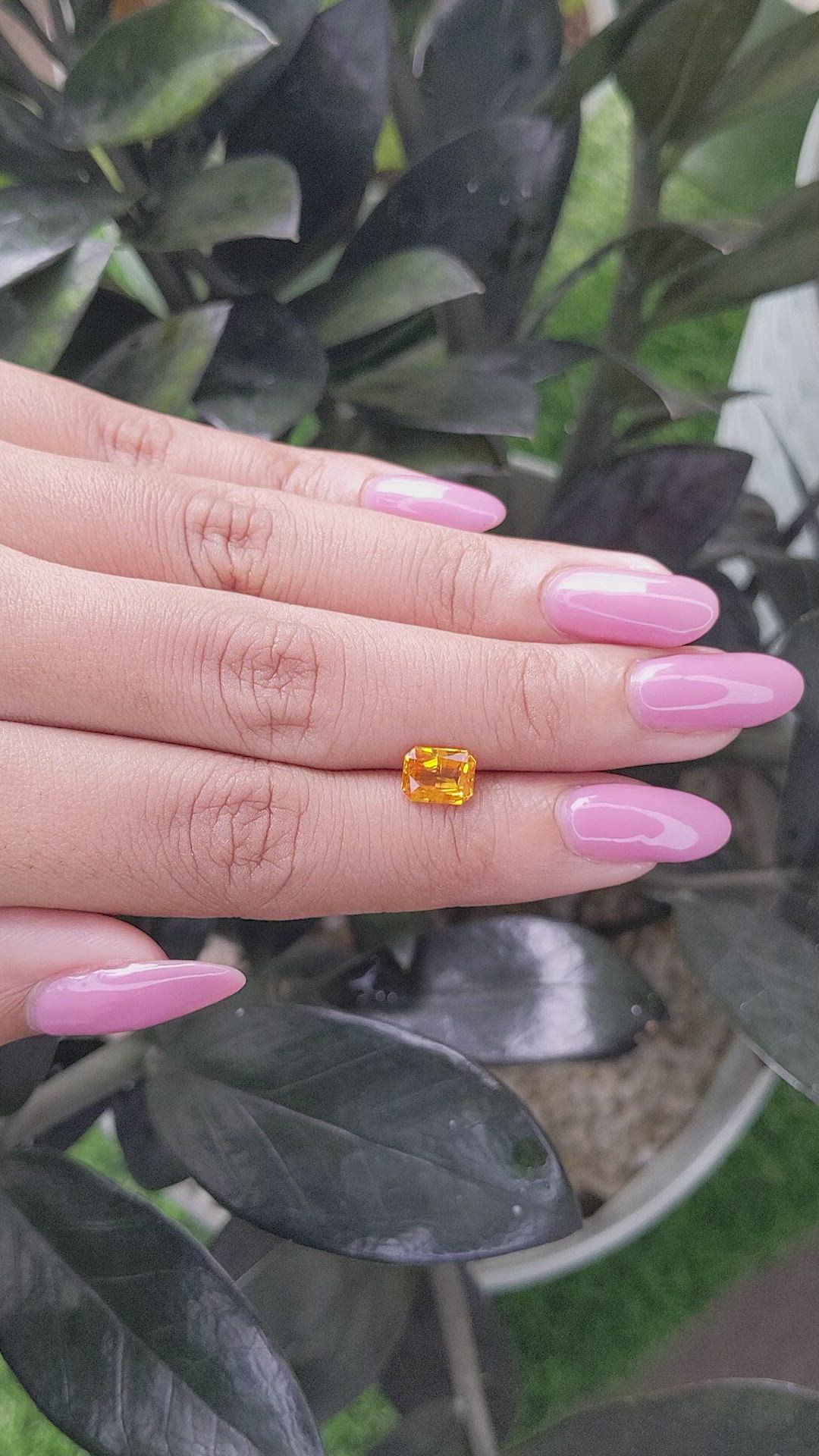 1.63 Ct. Yellowish Orange Sapphire from Ceylon (Sri Lanka) Size Video