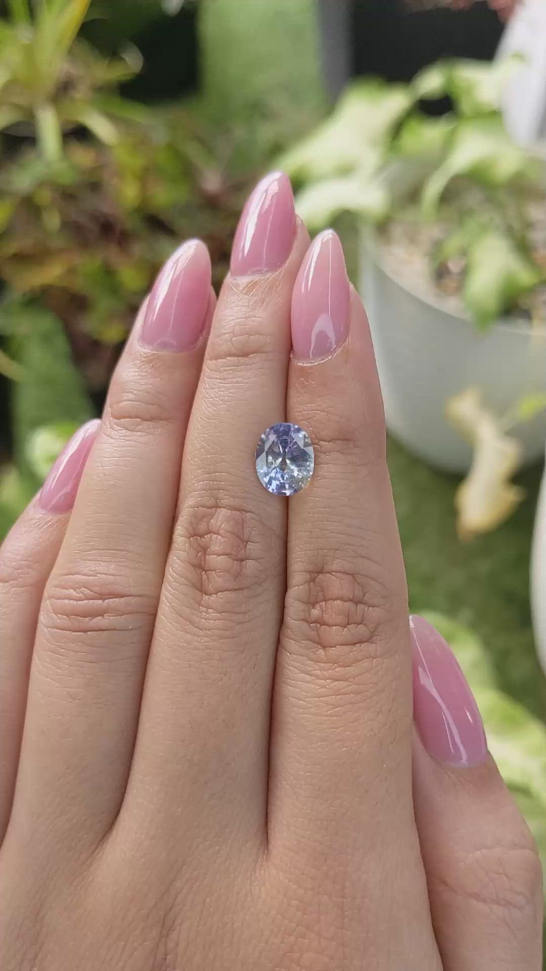 2.19 Ct. Bi Color Sapphire from Ceylon (Sri Lanka) Size Video