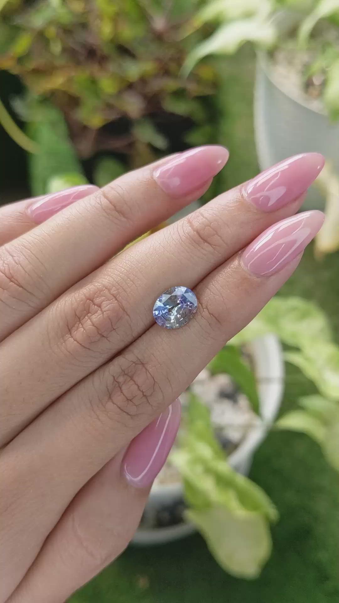 2.19 Ct. Bi Color Sapphire from Ceylon (Sri Lanka) Size Video