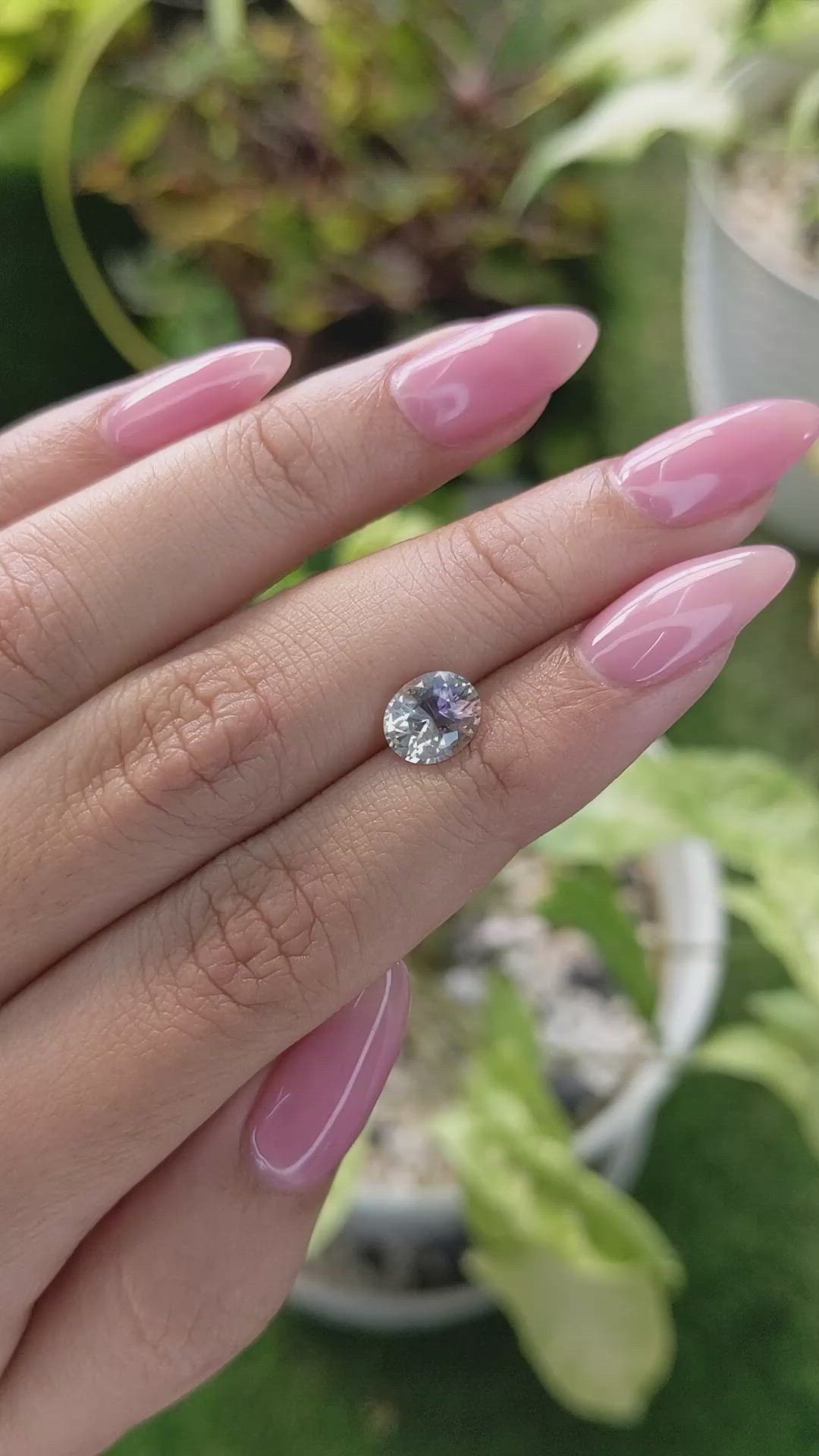 1.90 Ct. Bi Color Sapphire from Ceylon (Sri Lanka) Size Video