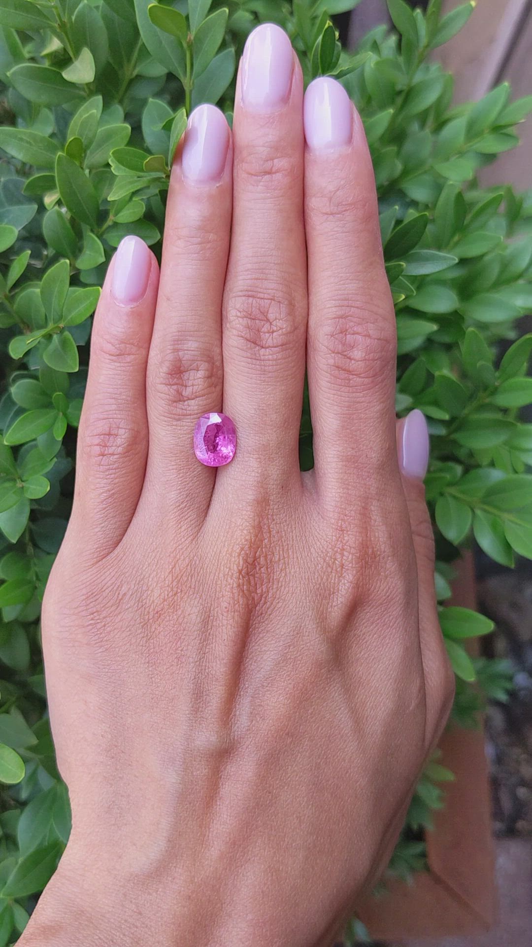 3.83 Ct. Purplish Pink Sapphire from Thailand Size Video