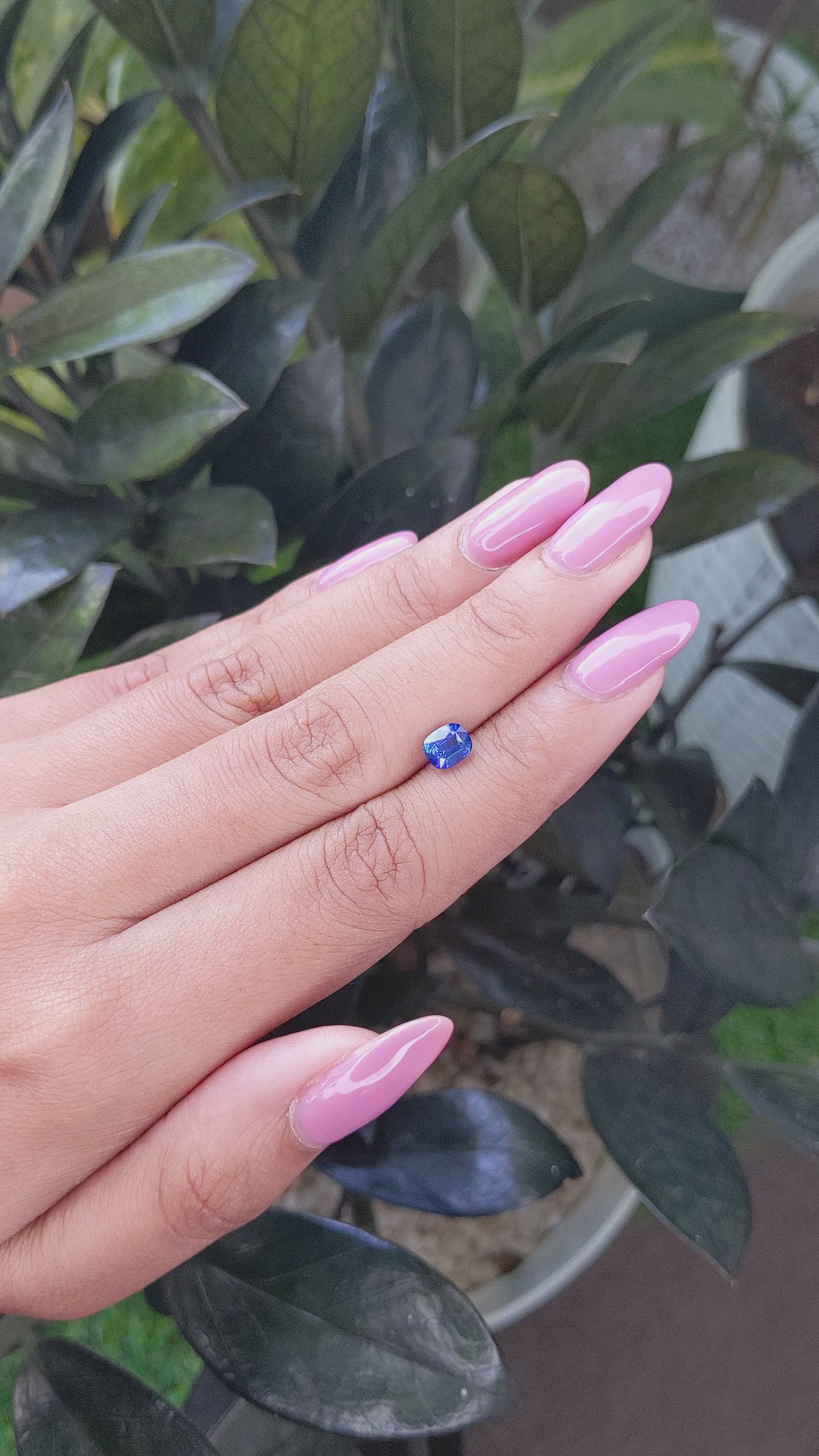 1.06 Ct. Blue Sapphire from Ceylon (Sri Lanka) Size Video