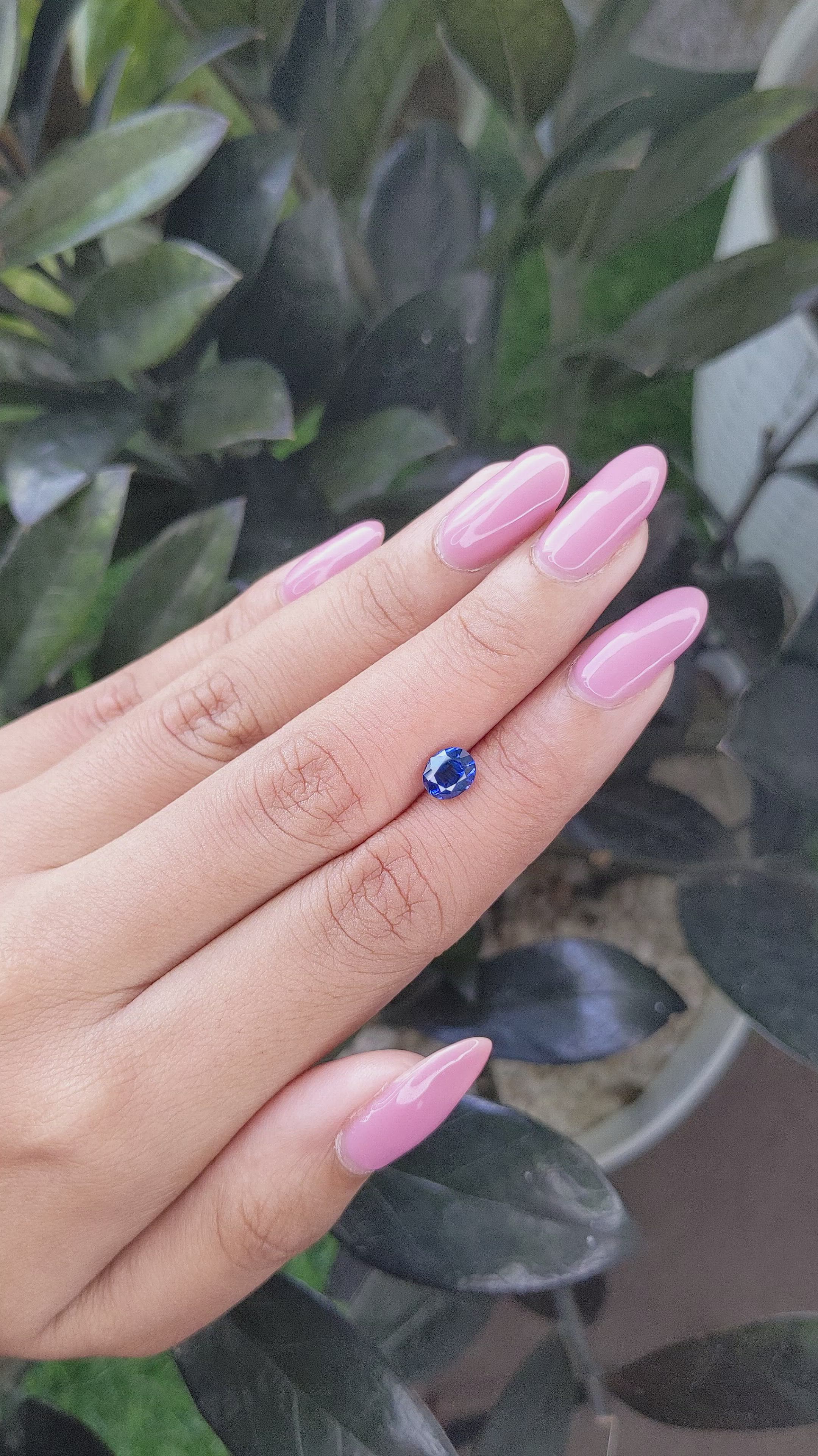 1.20 Ct. Blue Sapphire from Ceylon (Sri Lanka) Size Video