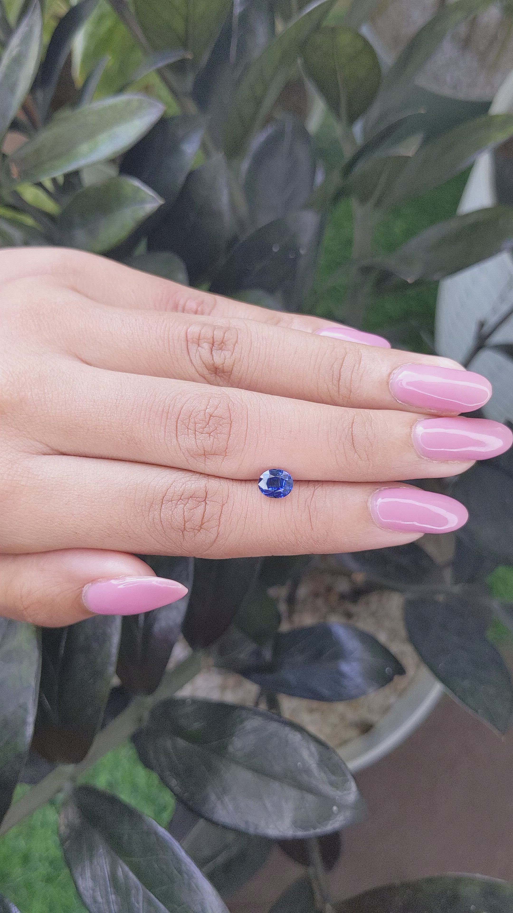 1.20 Ct. Blue Sapphire from Ceylon (Sri Lanka) Size Video