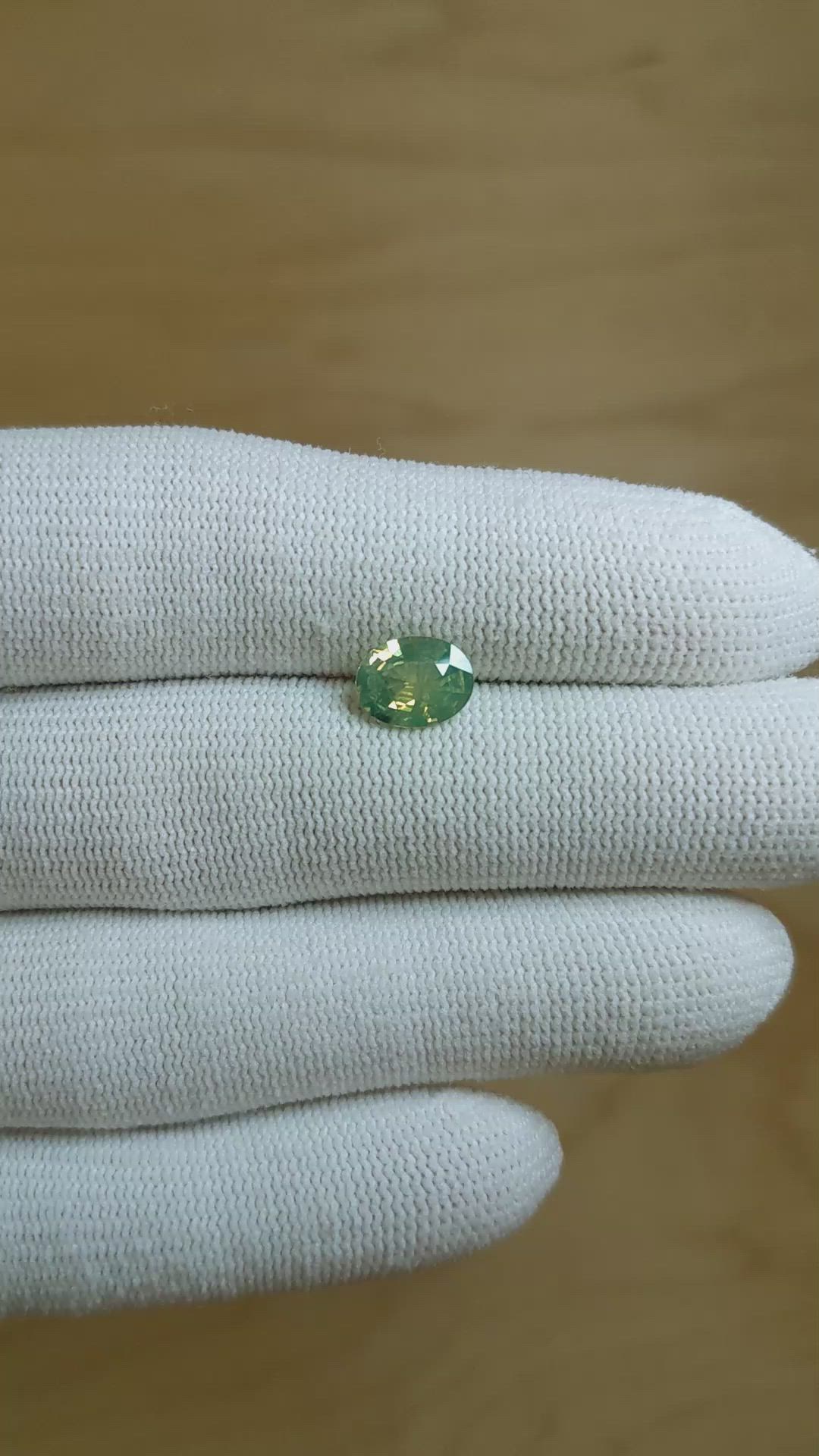 1.61 Ct. Bi Color Sapphire from Ceylon (Sri Lanka) Size Video