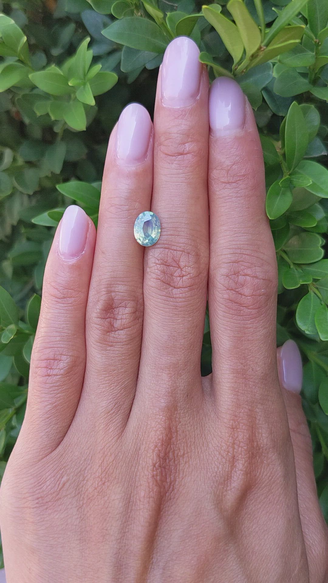 1.61 Ct. Bi Color Sapphire from Ceylon (Sri Lanka) Size Video