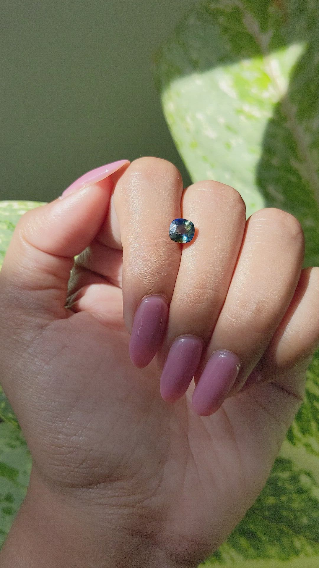 1.30 Ct. Bi Color Sapphire from Ceylon (Sri Lanka) Size Video