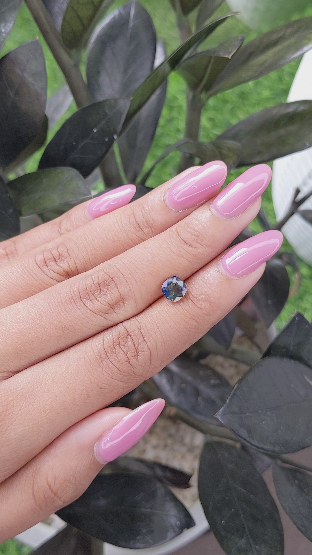 1.30 Ct. Bi Color Sapphire from Ceylon (Sri Lanka) Size Video