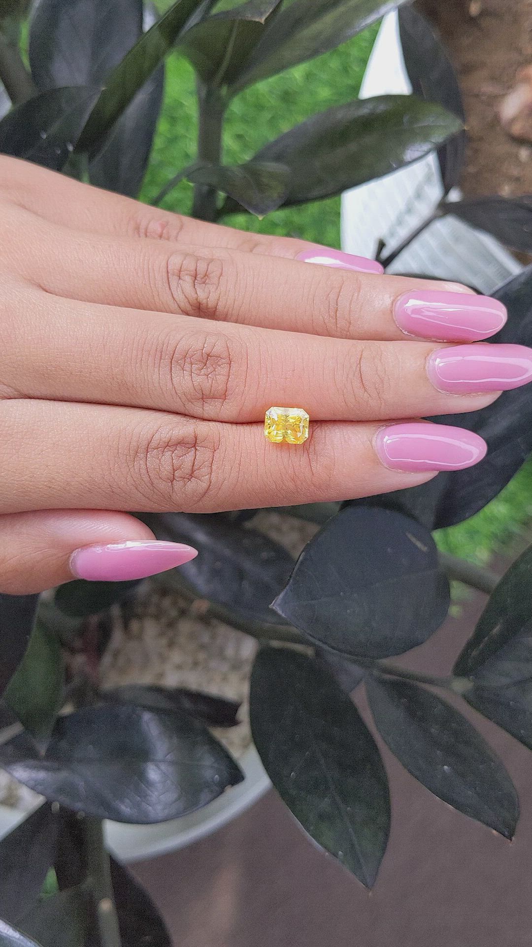 2.04 Ct. Yellow Sapphire from Ceylon (Sri Lanka) Size Video
