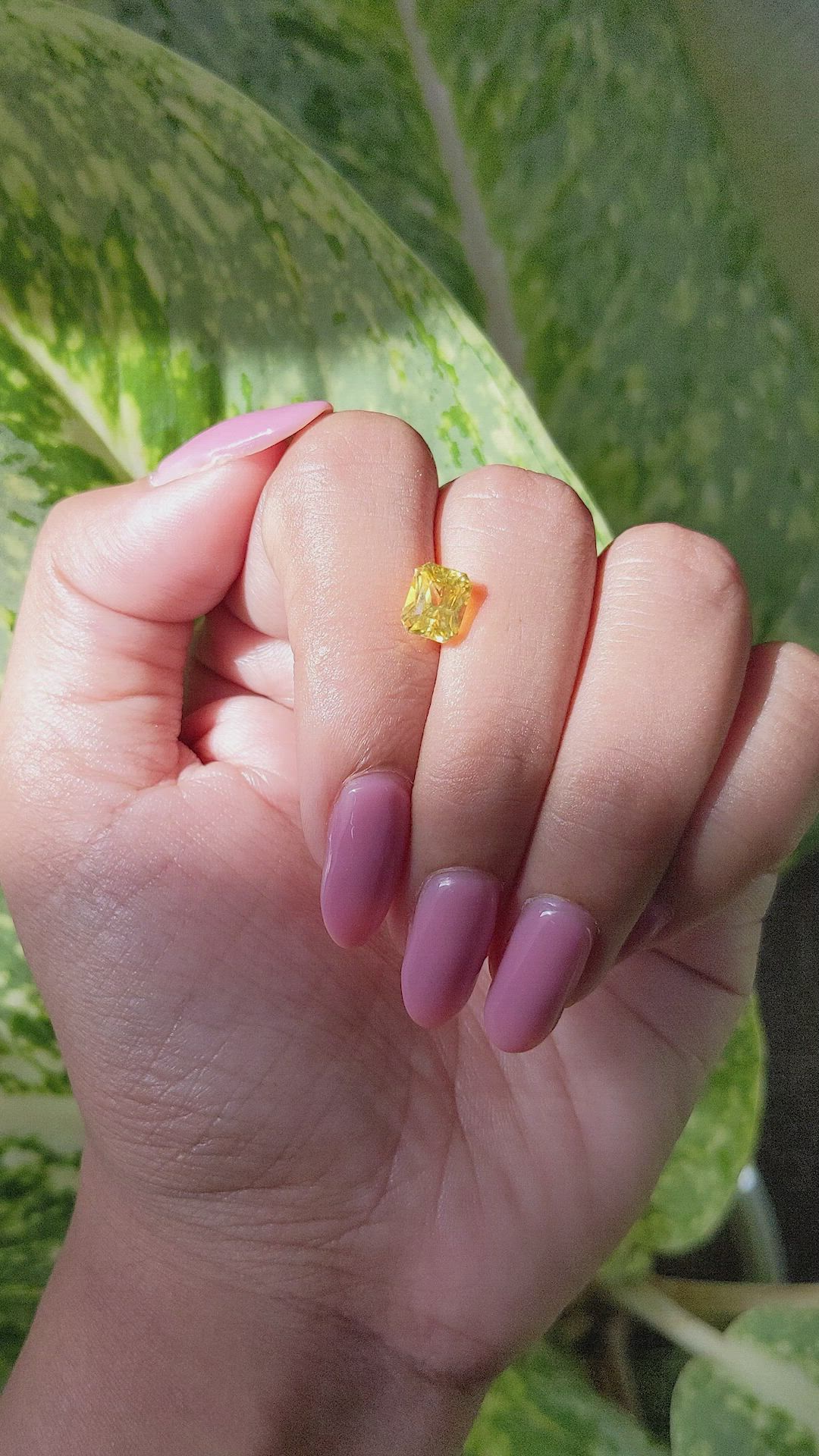 2.04 Ct. Yellow Sapphire from Ceylon (Sri Lanka) Size Video