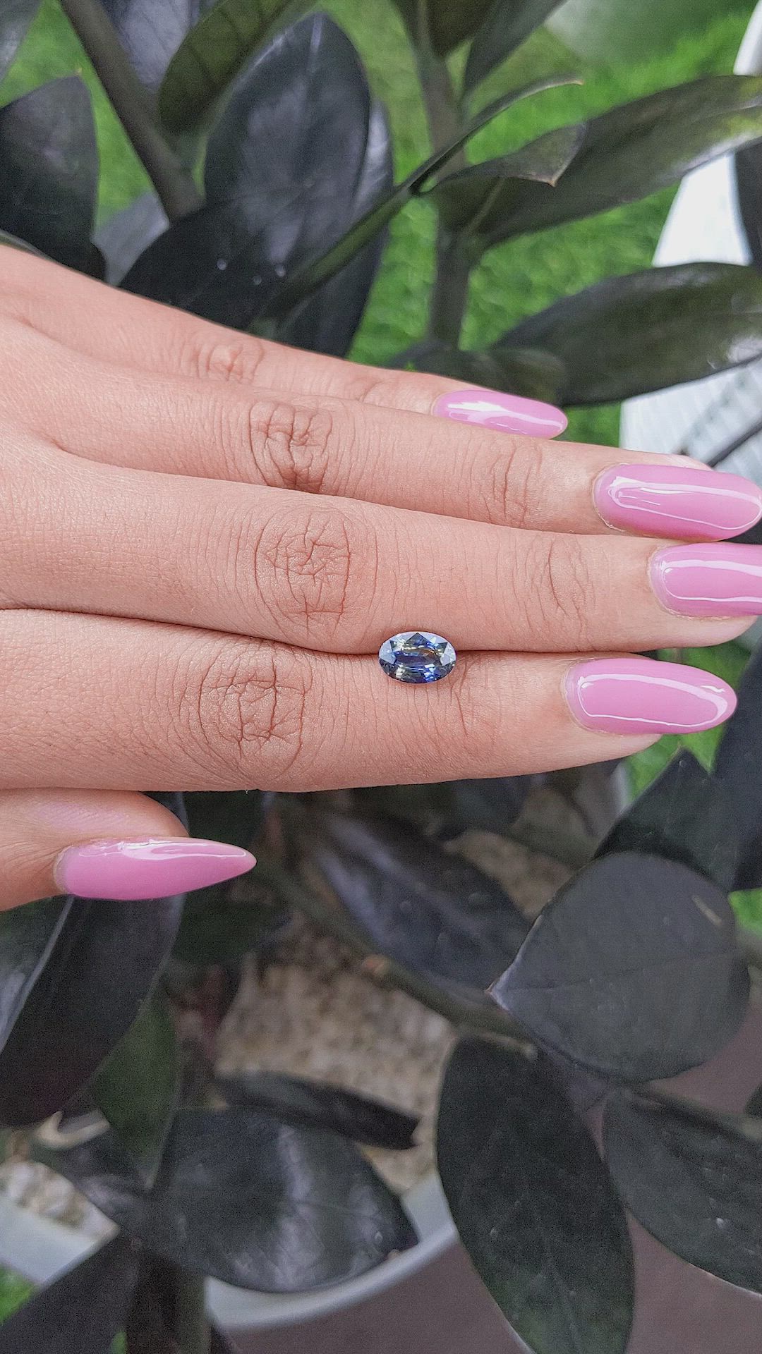 1.43 Ct. Bi Color Sapphire from Ceylon (Sri Lanka) Size Video