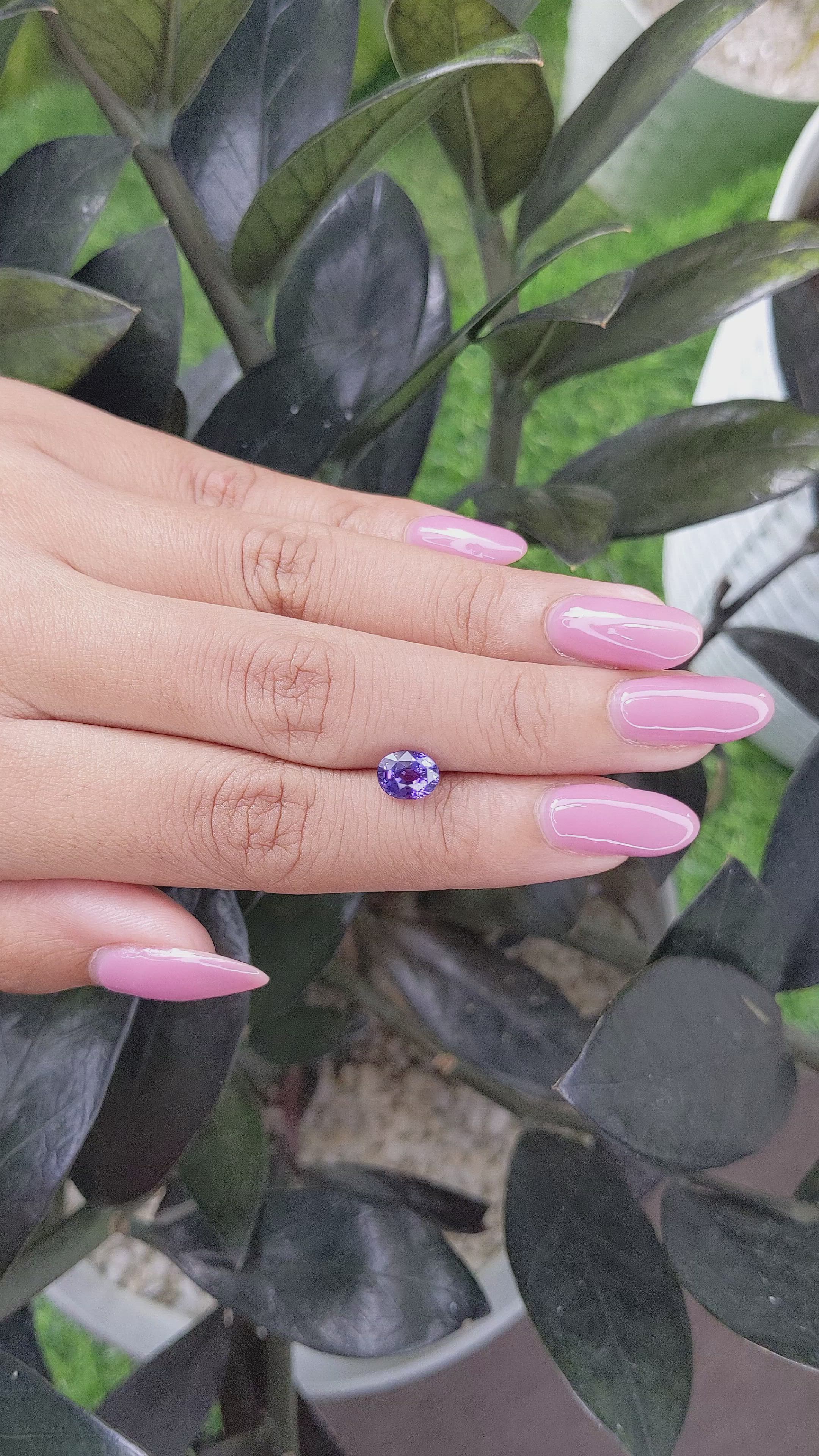 1.62 Ct. Purple Sapphire from Madagascar Size Video