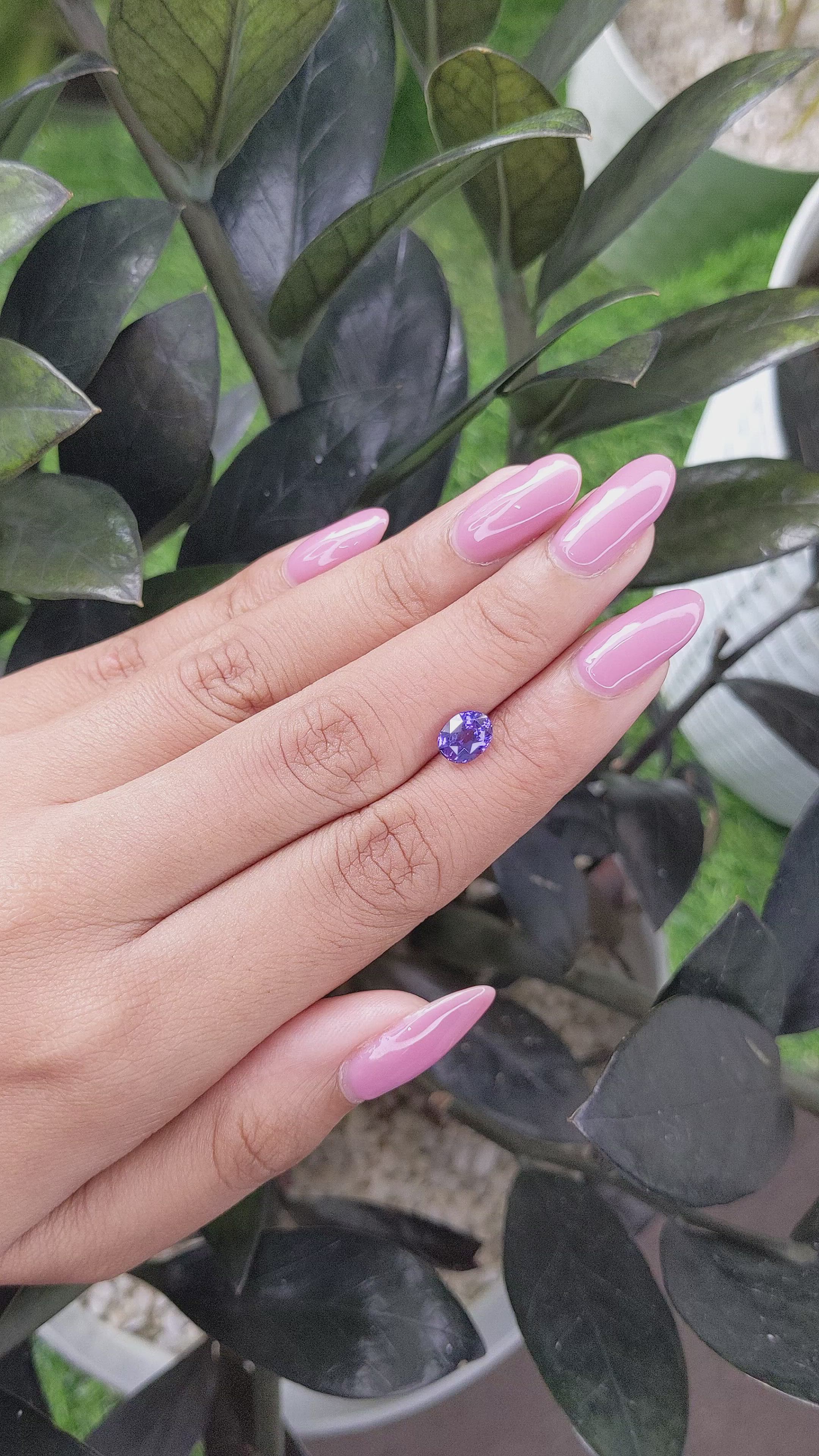 1.62 Ct. Purple Sapphire from Madagascar Size Video