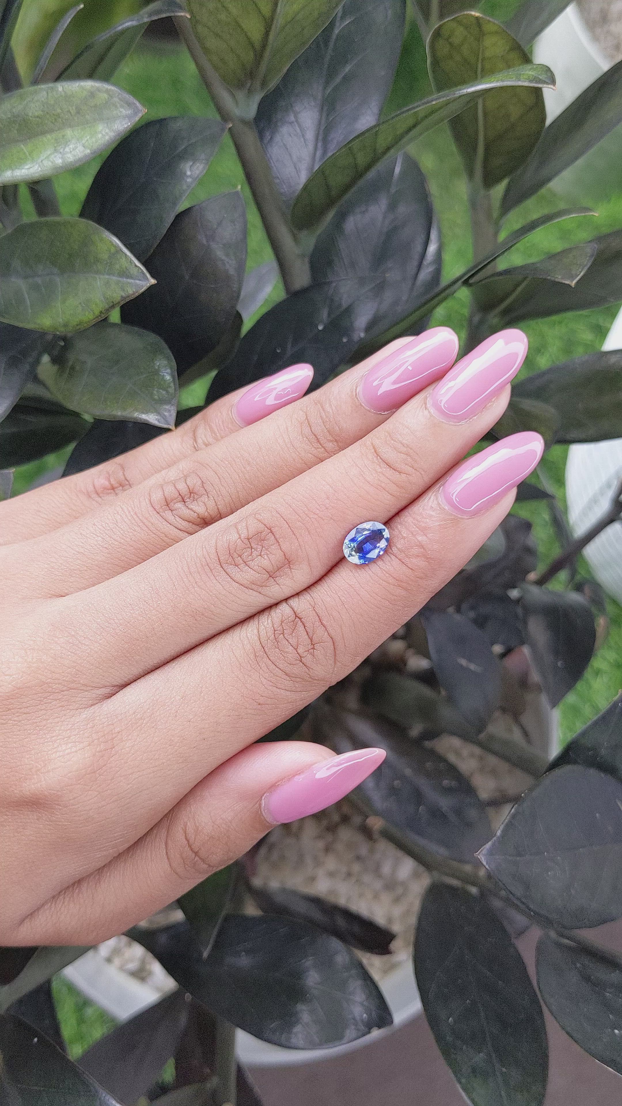 1.29 Ct. Bi Color Sapphire from Ceylon (Sri Lanka) Size Video